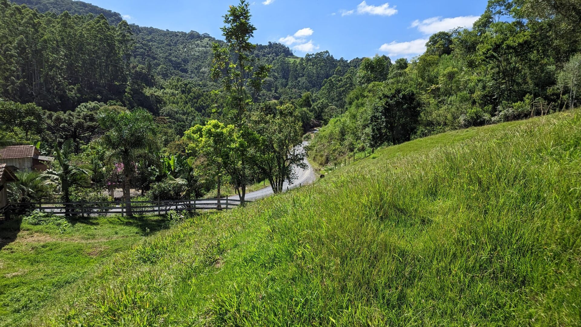 Sítio à venda com 2 quartos, 30000m² - Foto 19