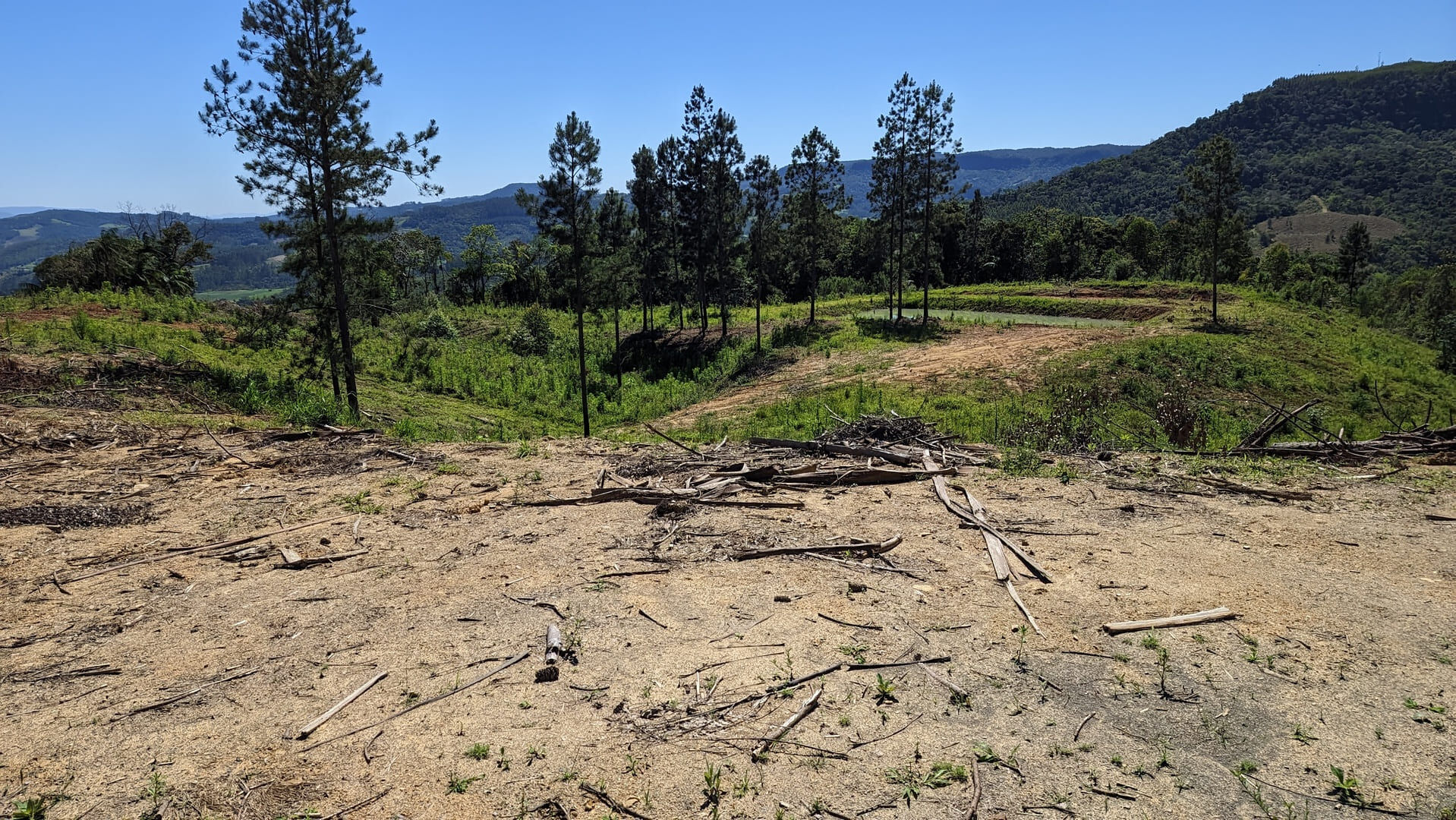 Terreno, 2 hectares - Foto 5