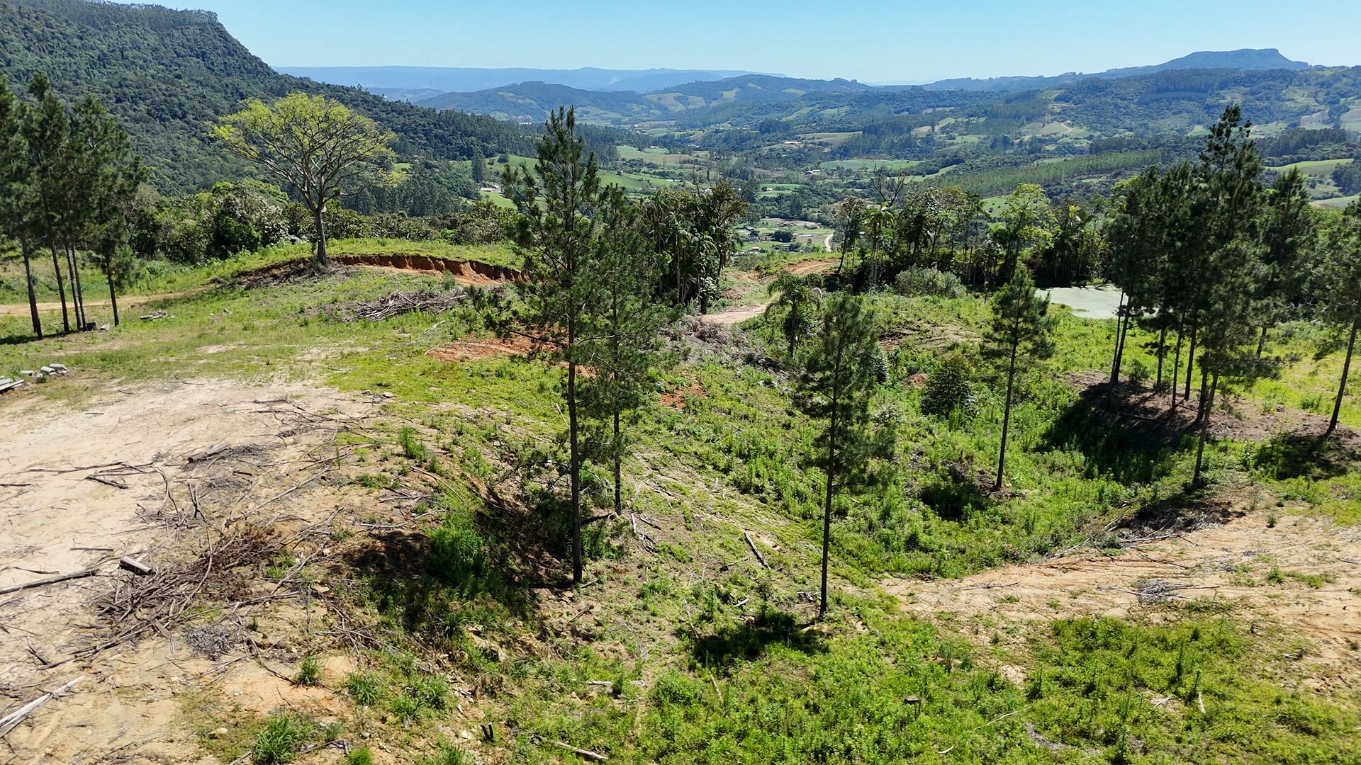 Terreno, 2 hectares - Foto 2