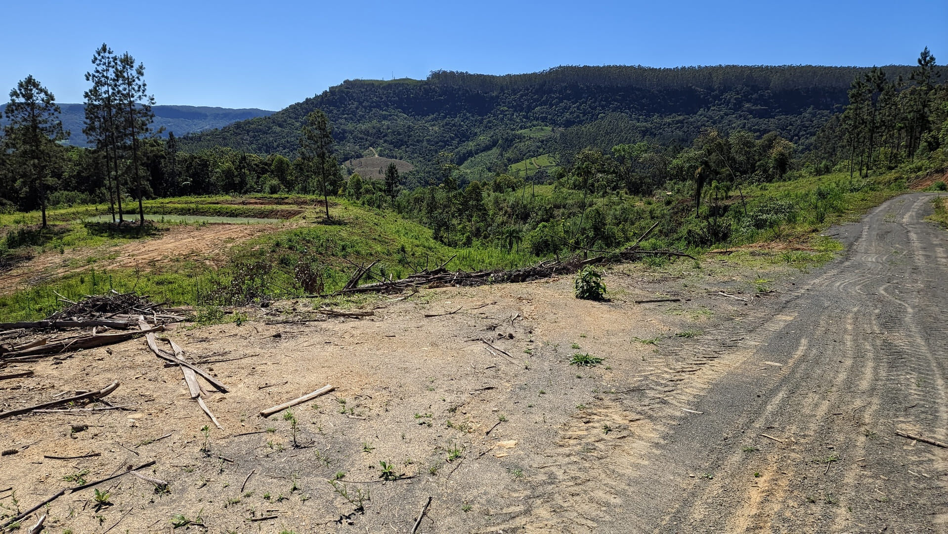 Terreno, 2 hectares - Foto 4