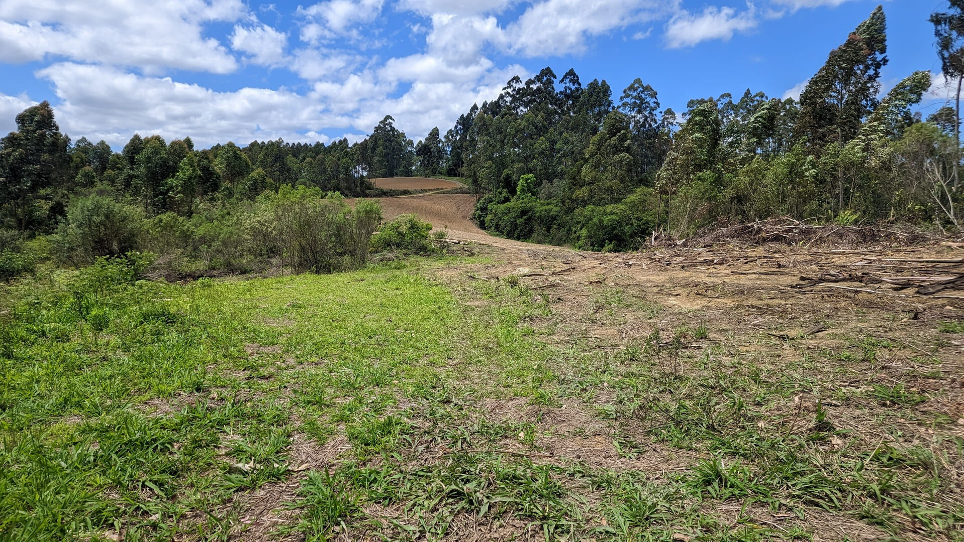 Terreno, 6 hectares - Foto 14