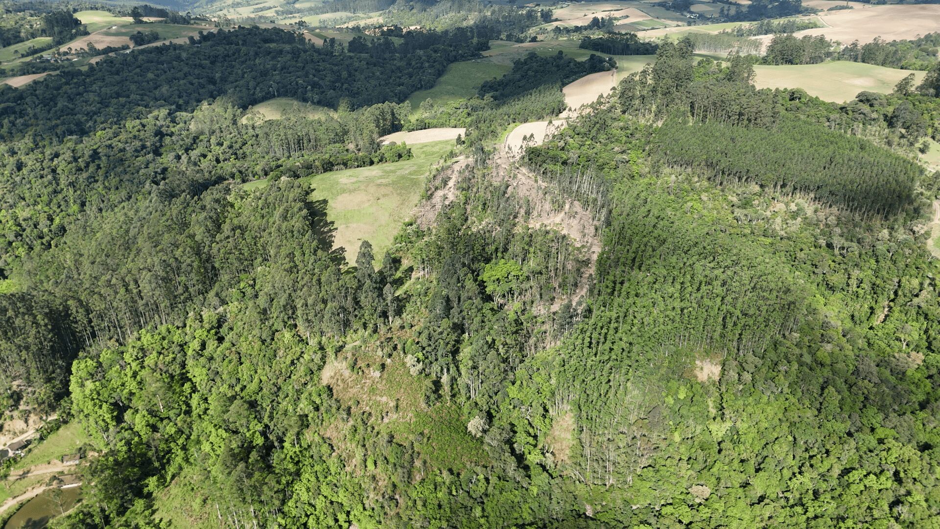 Terreno, 6 hectares - Foto 8