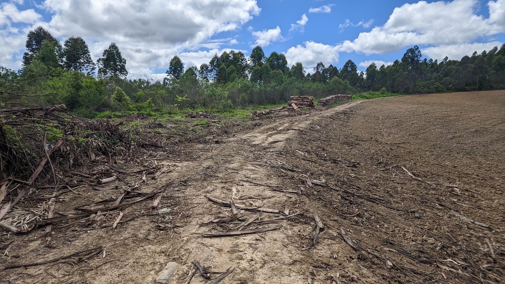 Terreno, 6 hectares - Foto 10