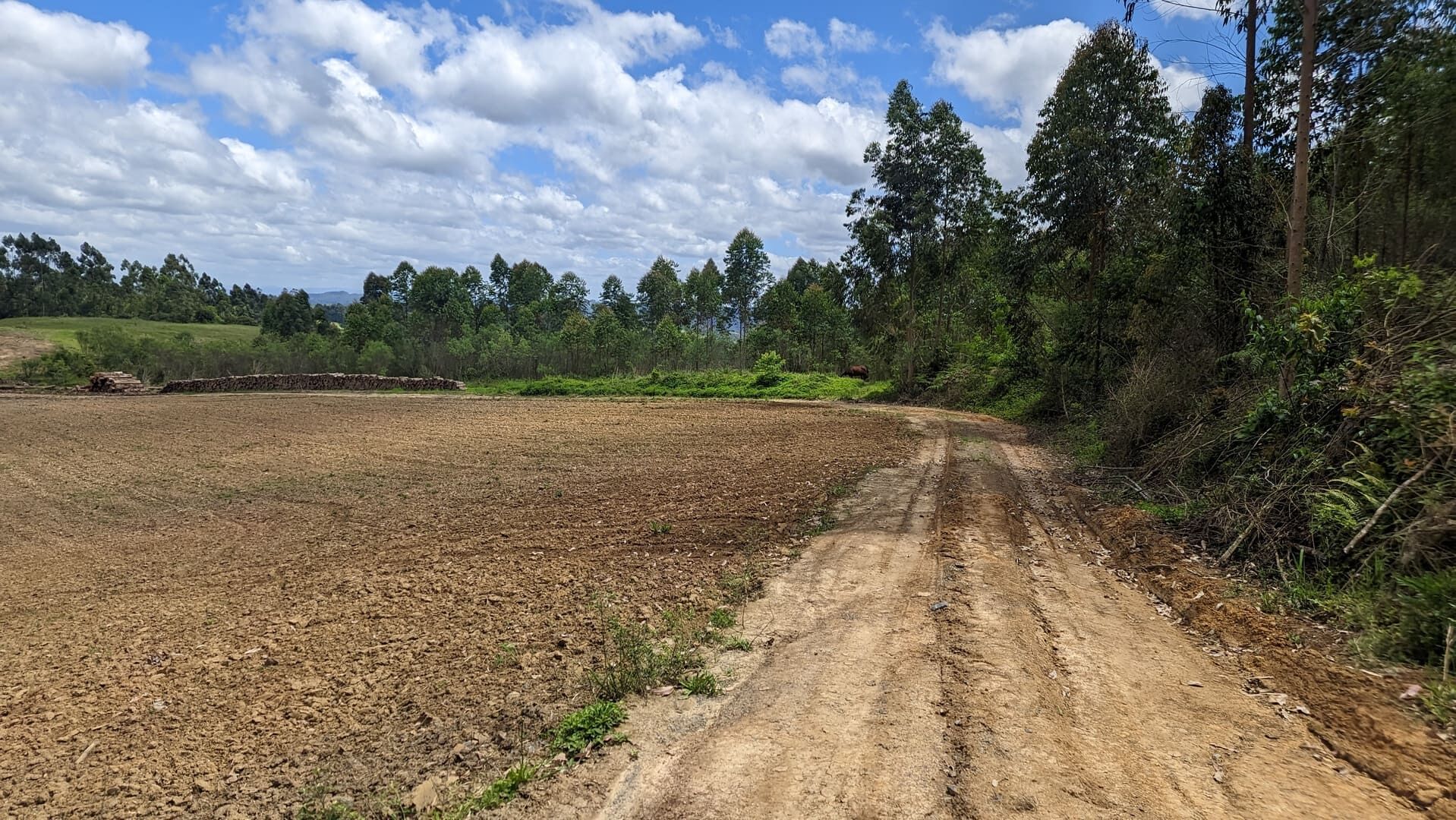 Terreno, 6 hectares - Foto 2