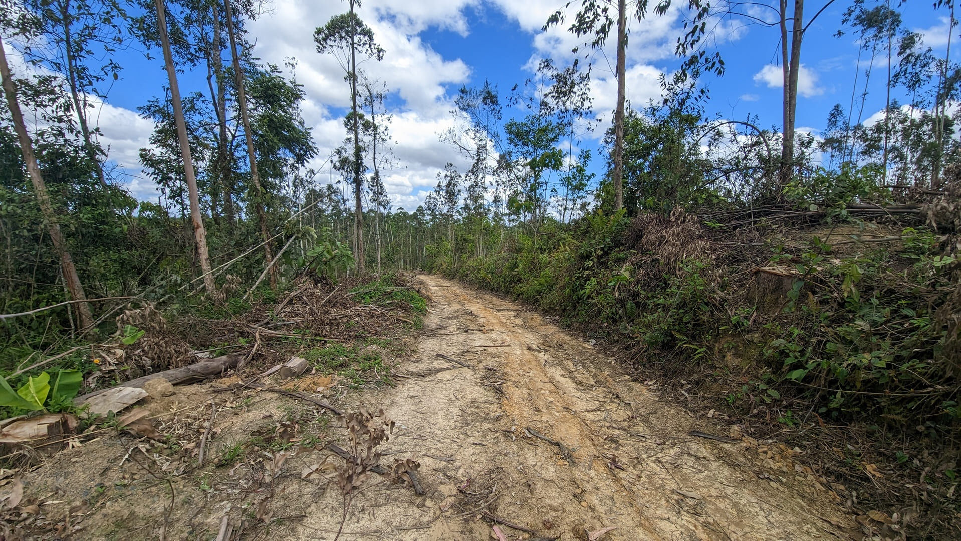 Terreno, 6 hectares - Foto 4