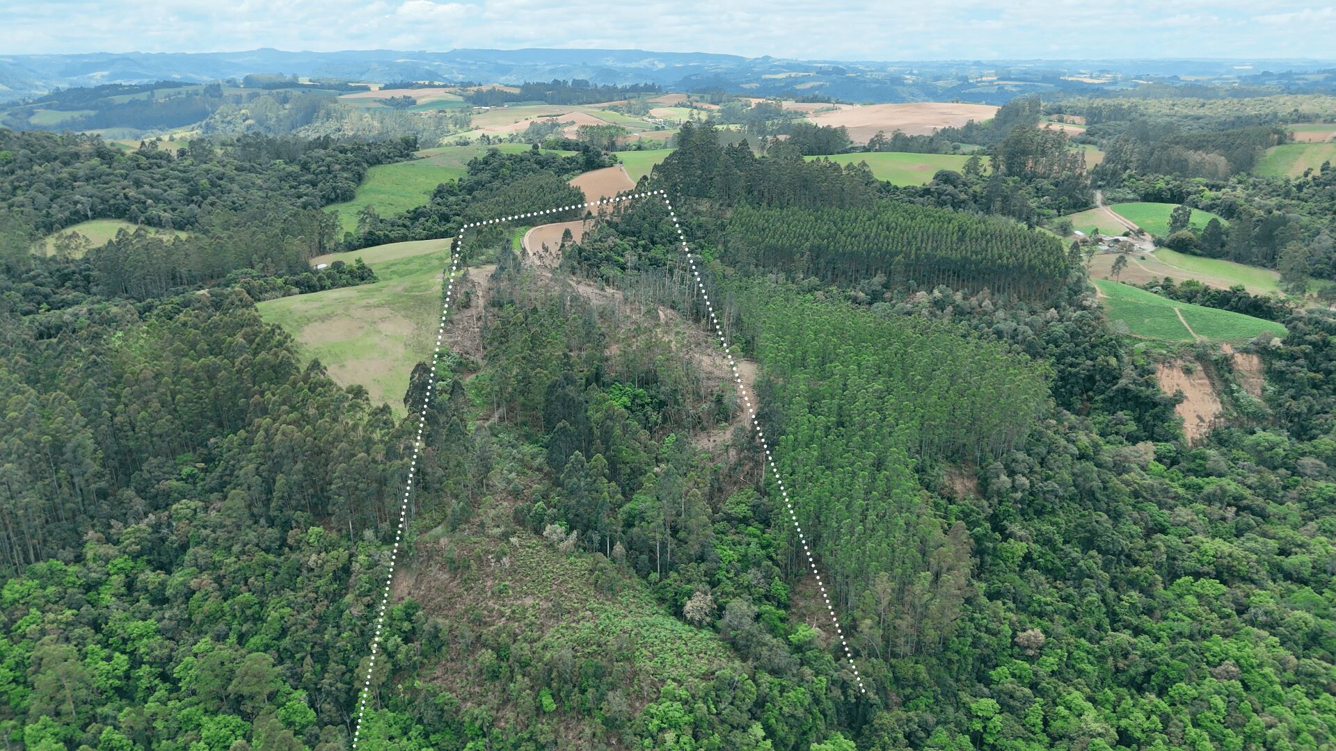 Terreno, 6 hectares - Foto 5