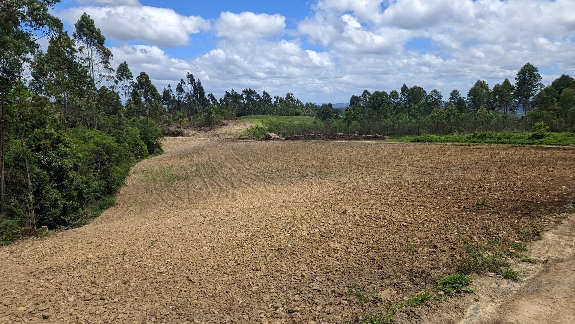 Terreno, 6 hectares - Foto 1