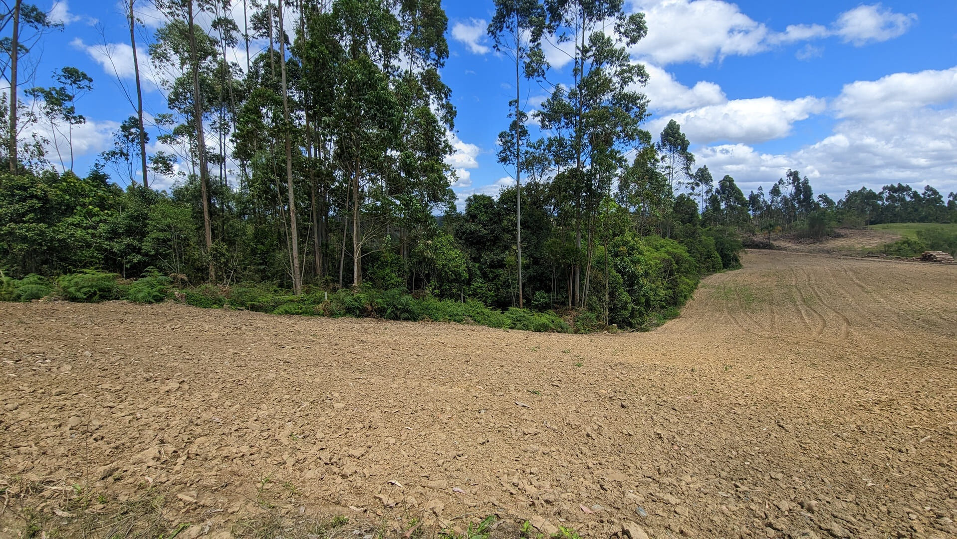 Terreno, 6 hectares - Foto 3