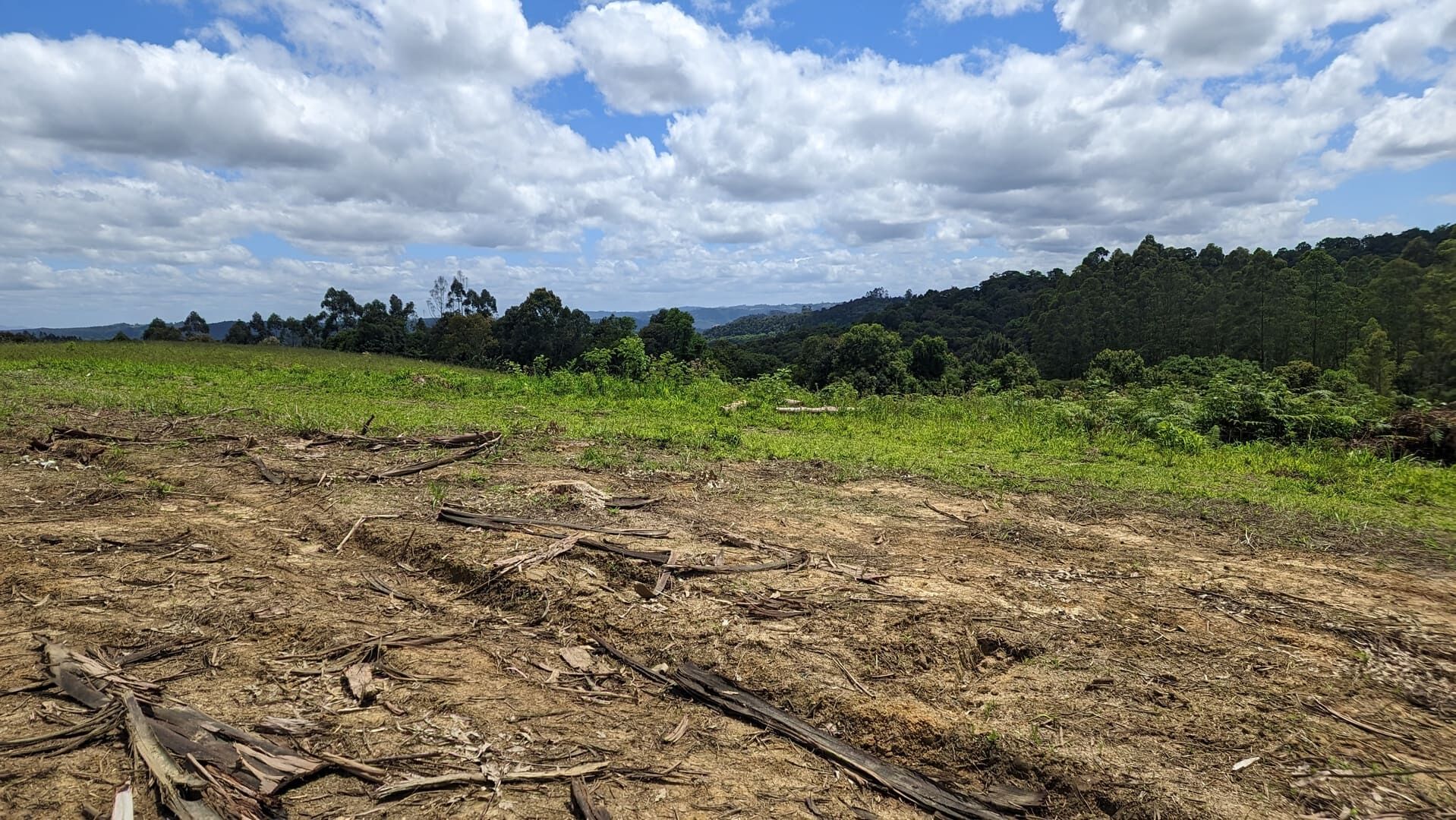 Terreno, 6 hectares - Foto 13