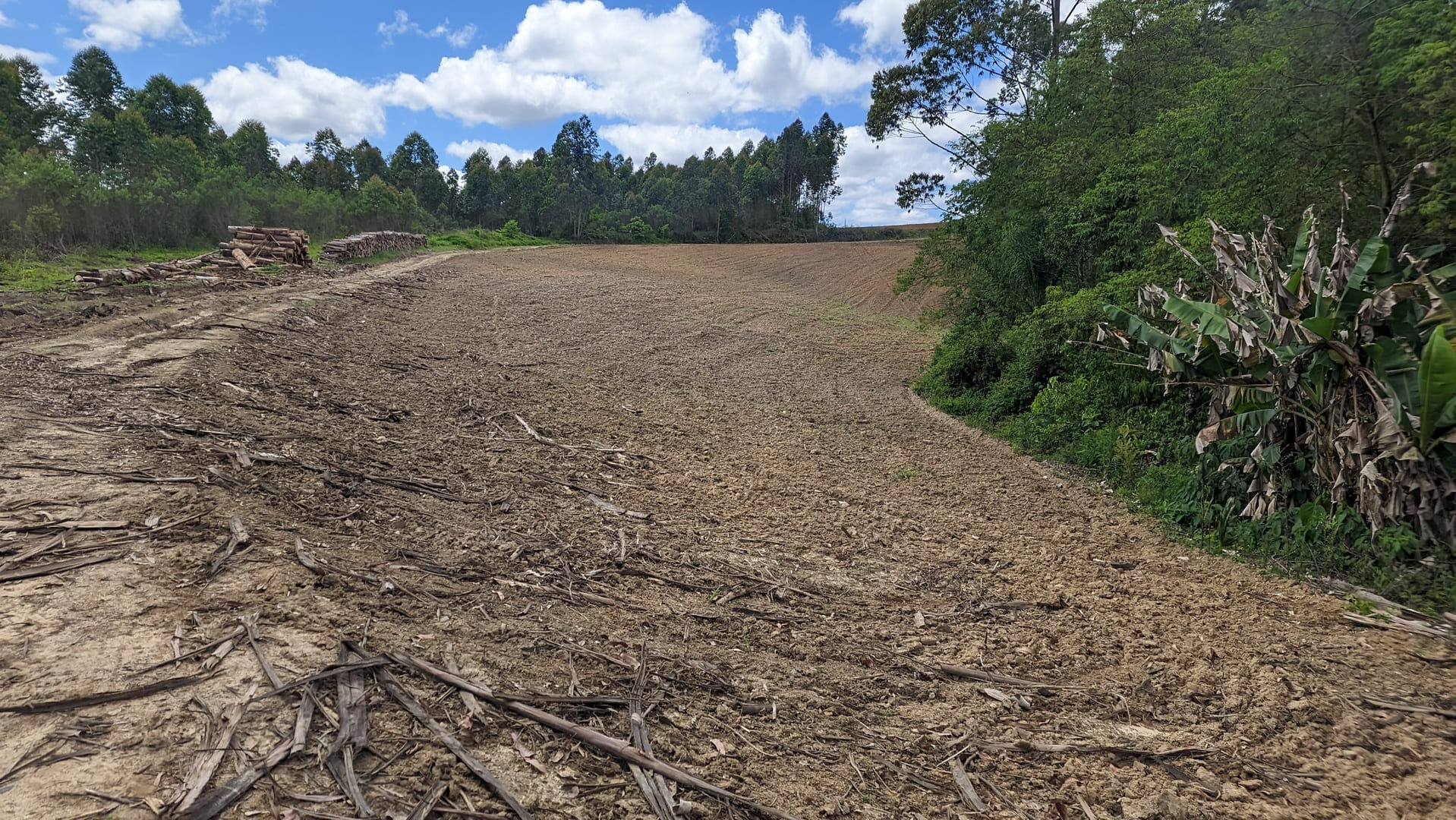 Terreno, 6 hectares - Foto 9