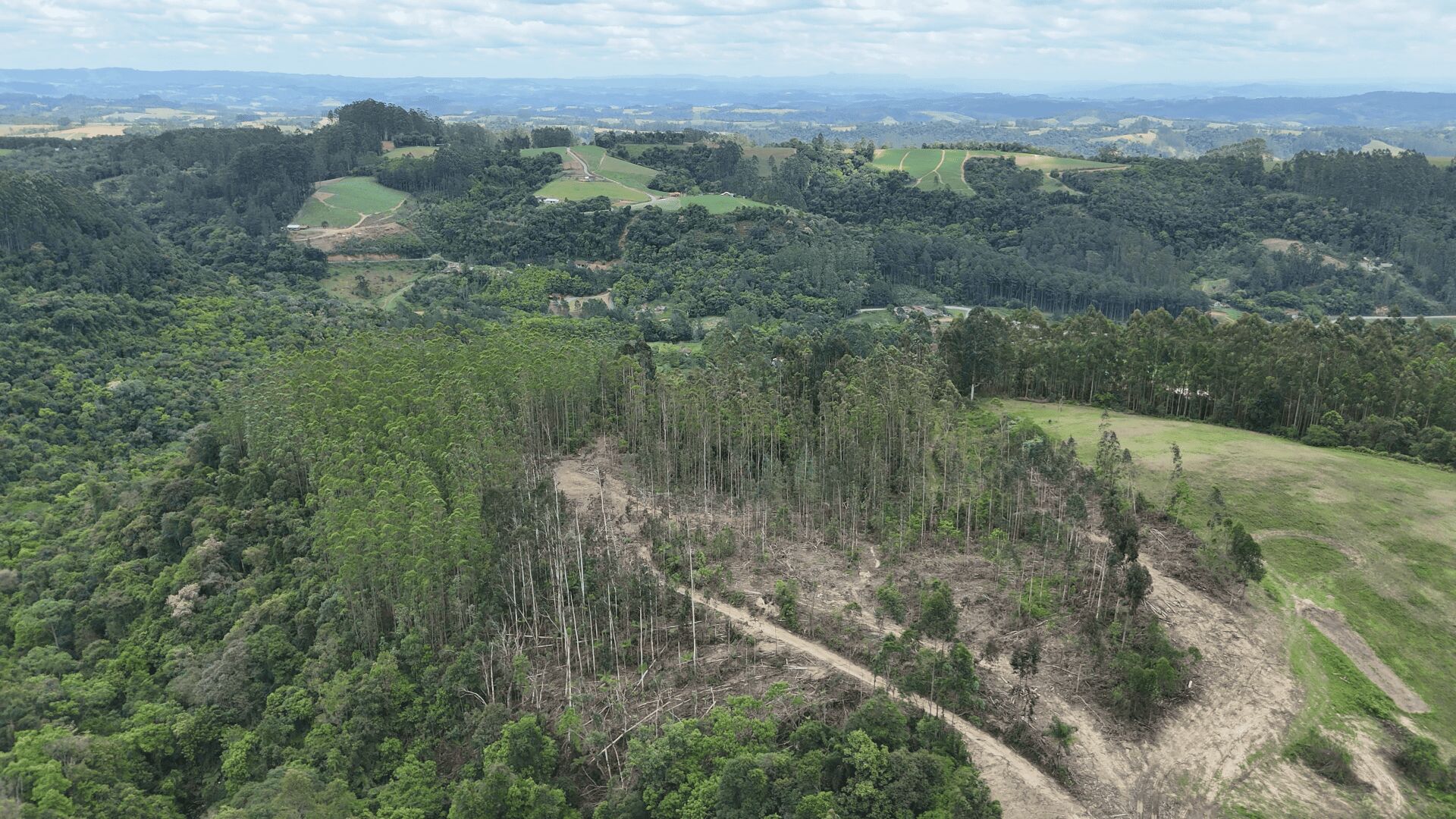 Terreno, 6 hectares - Foto 6