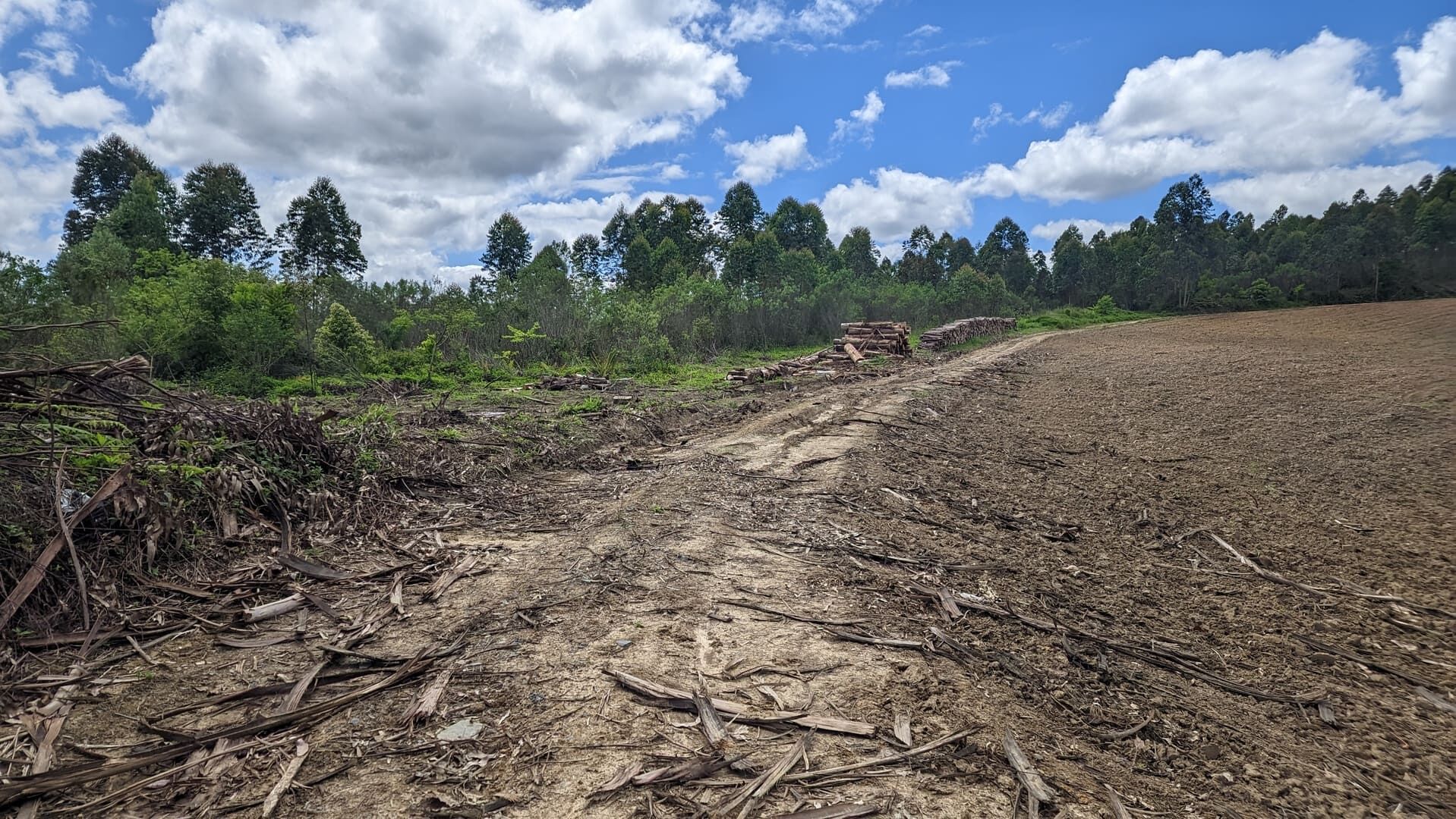 Terreno, 6 hectares - Foto 11