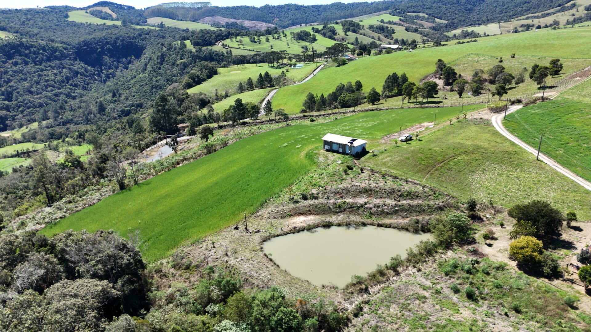 Sítio, 3 hectares - Foto 1