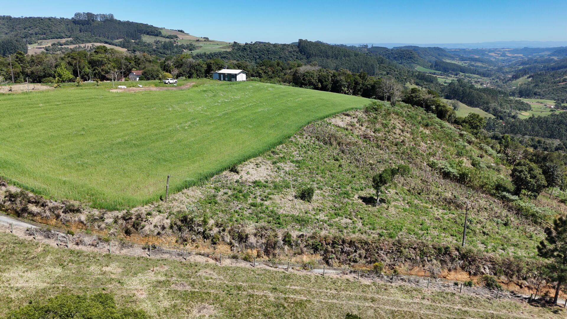 Sítio, 3 hectares - Foto 5