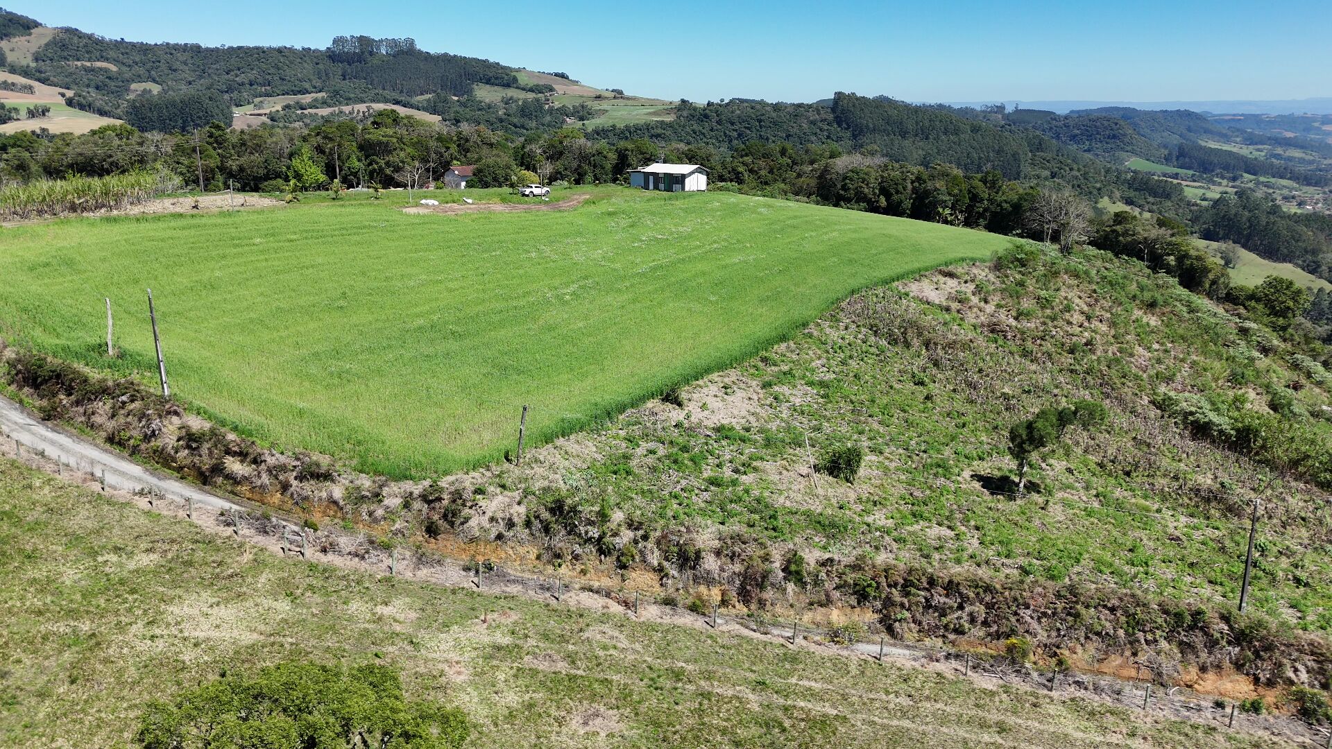 Sítio, 3 hectares - Foto 2