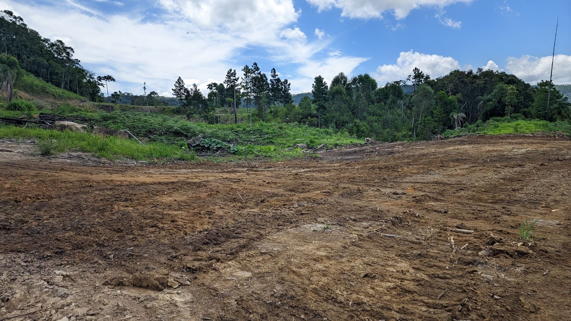 Terreno, 2 hectares - Foto 7