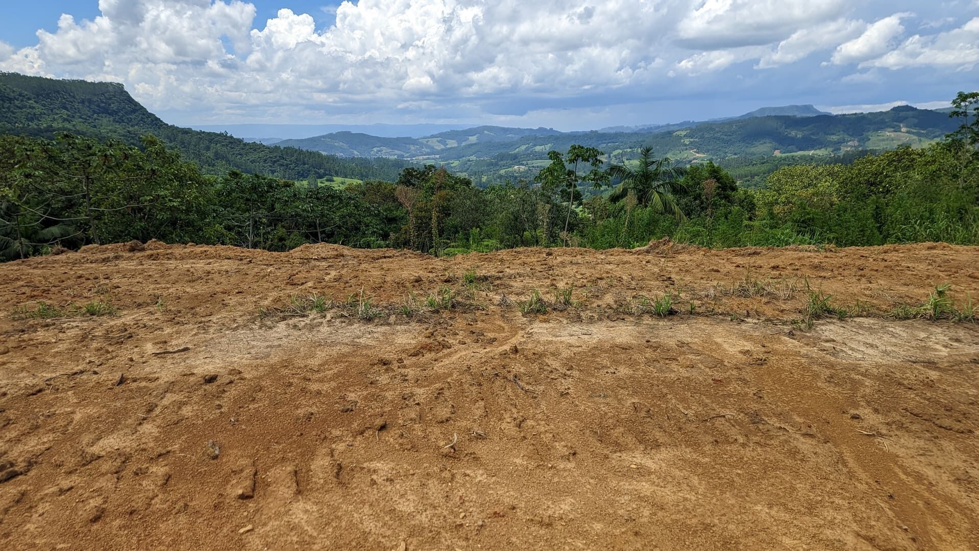 Terreno, 2 hectares - Foto 5