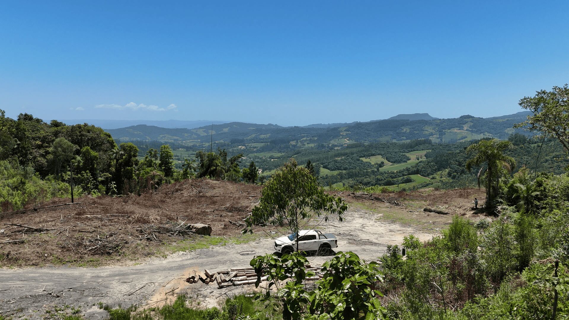 Terreno, 2 hectares - Foto 10