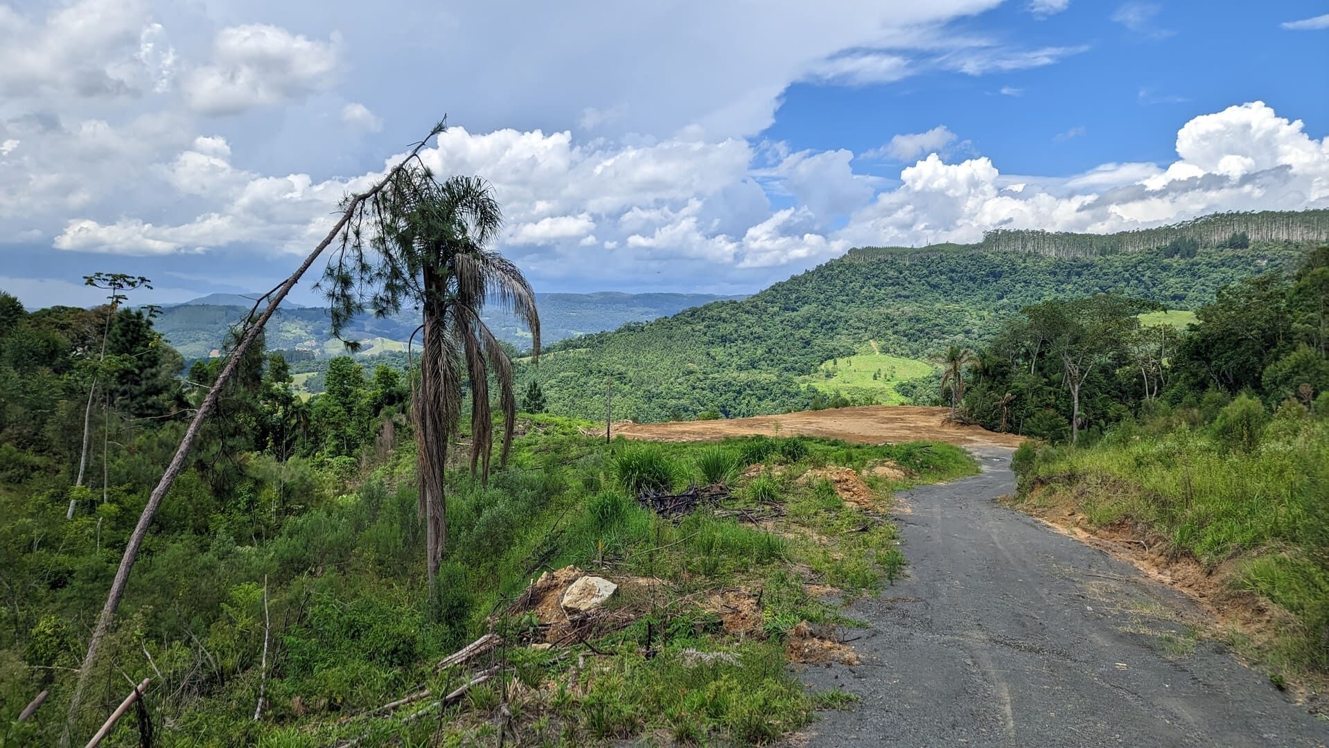 Terreno, 2 hectares - Foto 8