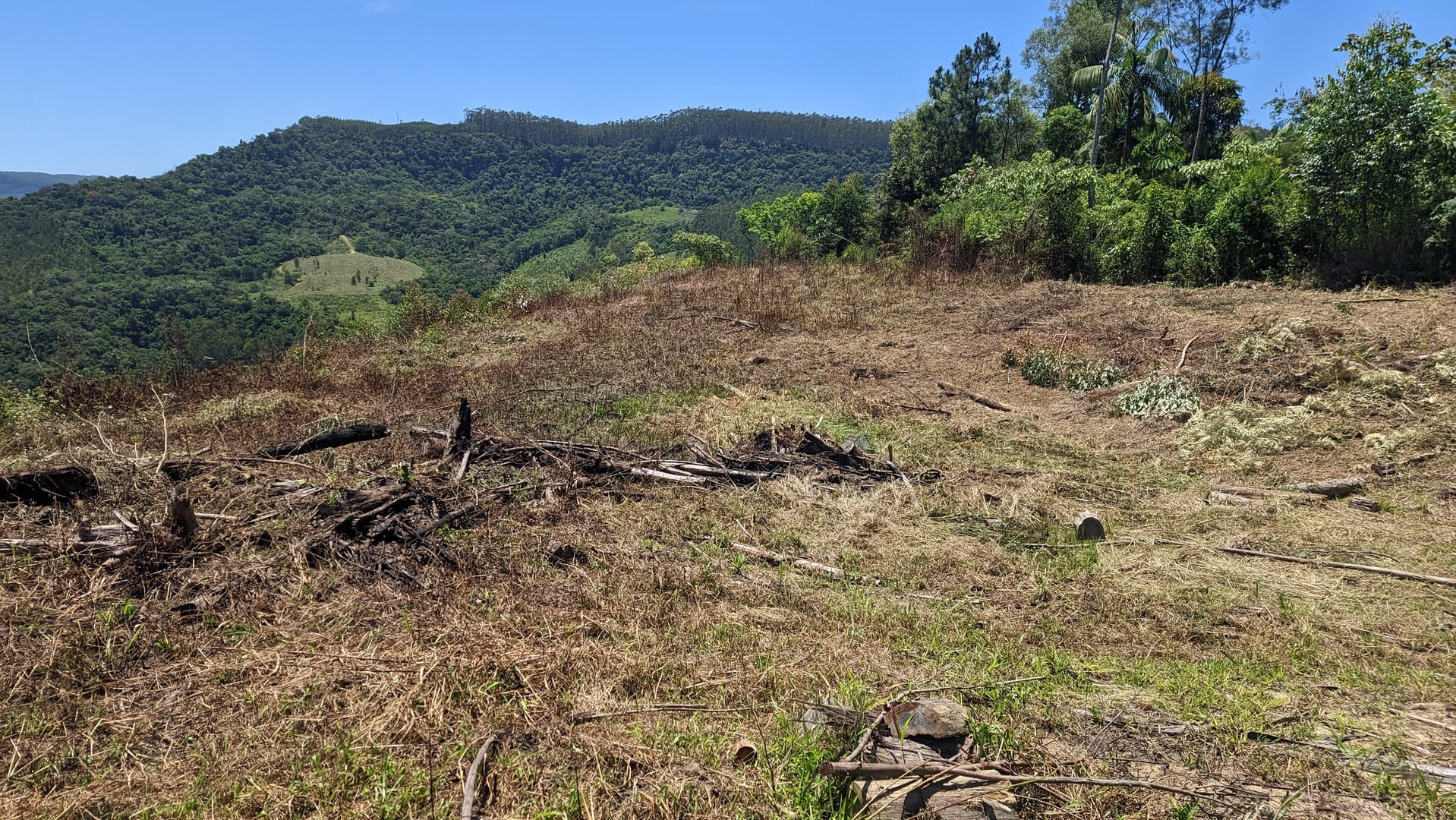 Terreno, 2 hectares - Foto 4