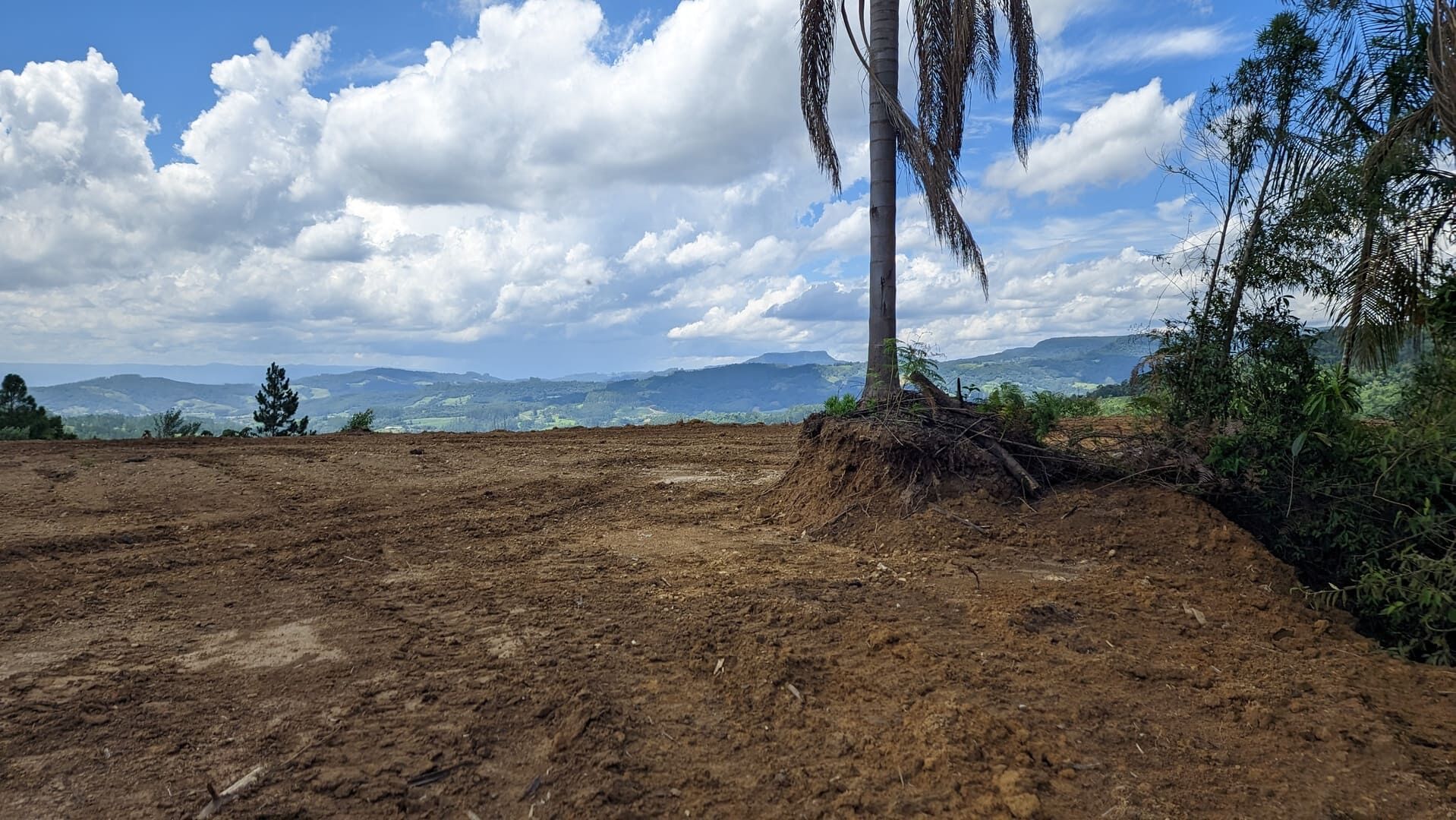 Terreno, 2 hectares - Foto 11