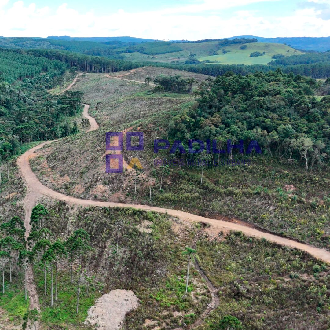 Fazenda, 359 hectares - Foto 4