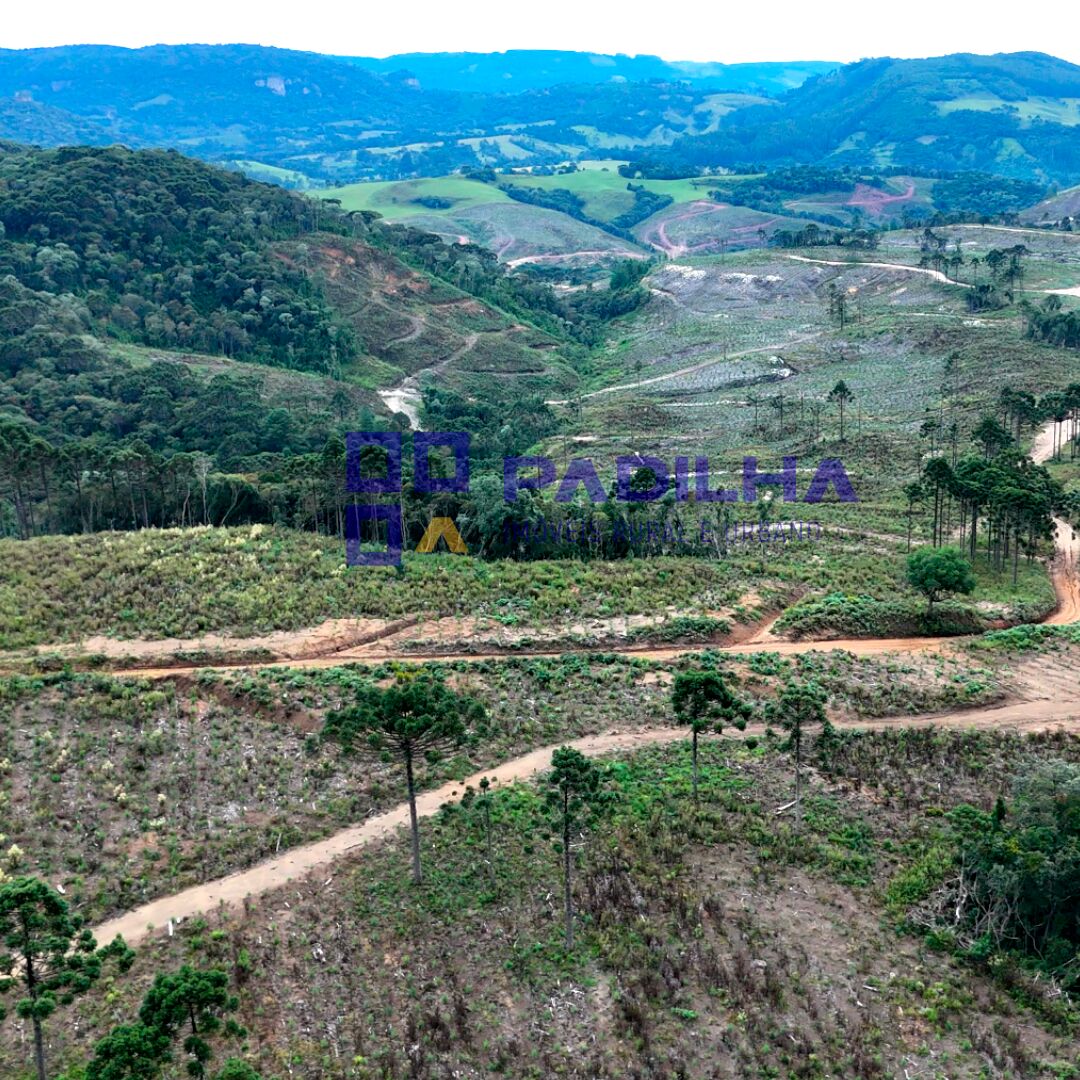 Fazenda, 359 hectares - Foto 6
