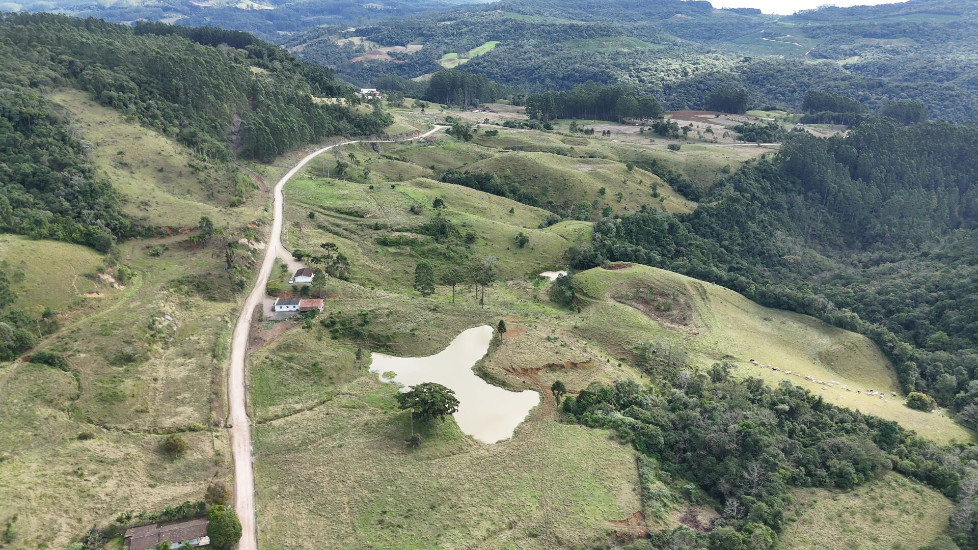 Fazenda, 103 hectares - Foto 1