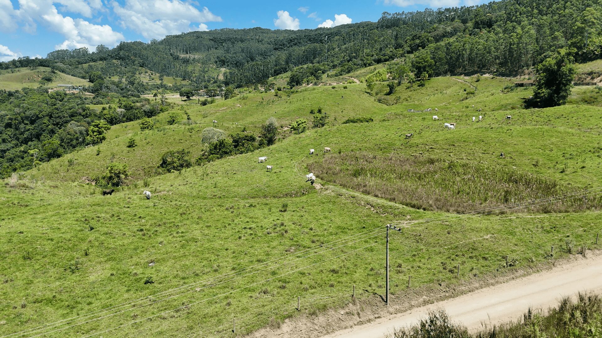 Fazenda, 103 hectares - Foto 8