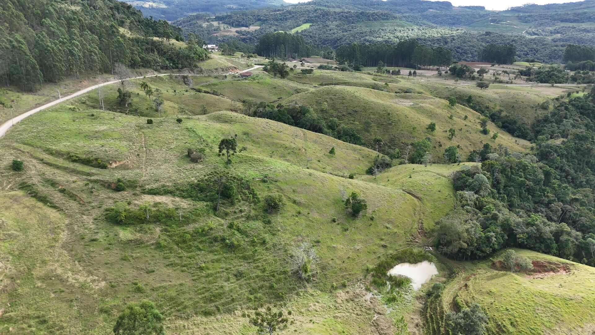 Fazenda, 103 hectares - Foto 6