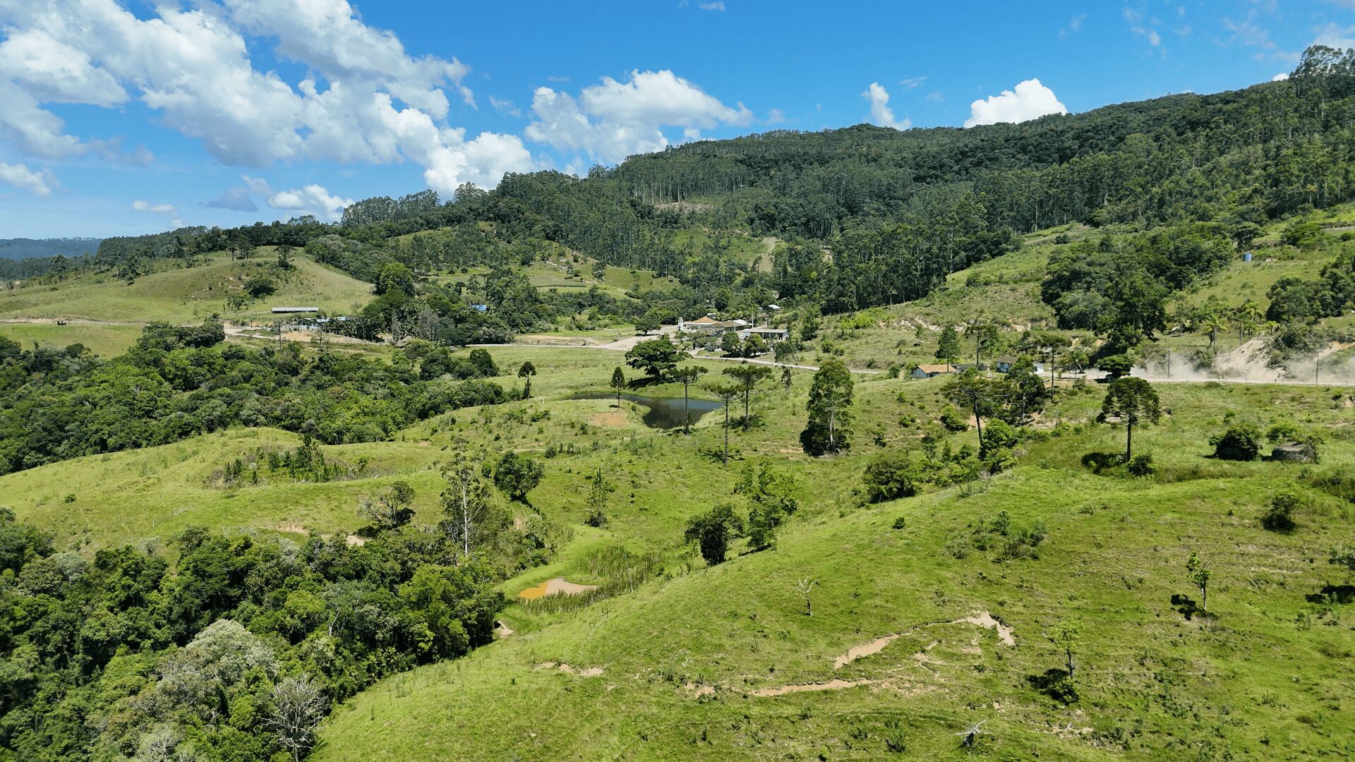 Fazenda, 103 hectares - Foto 7