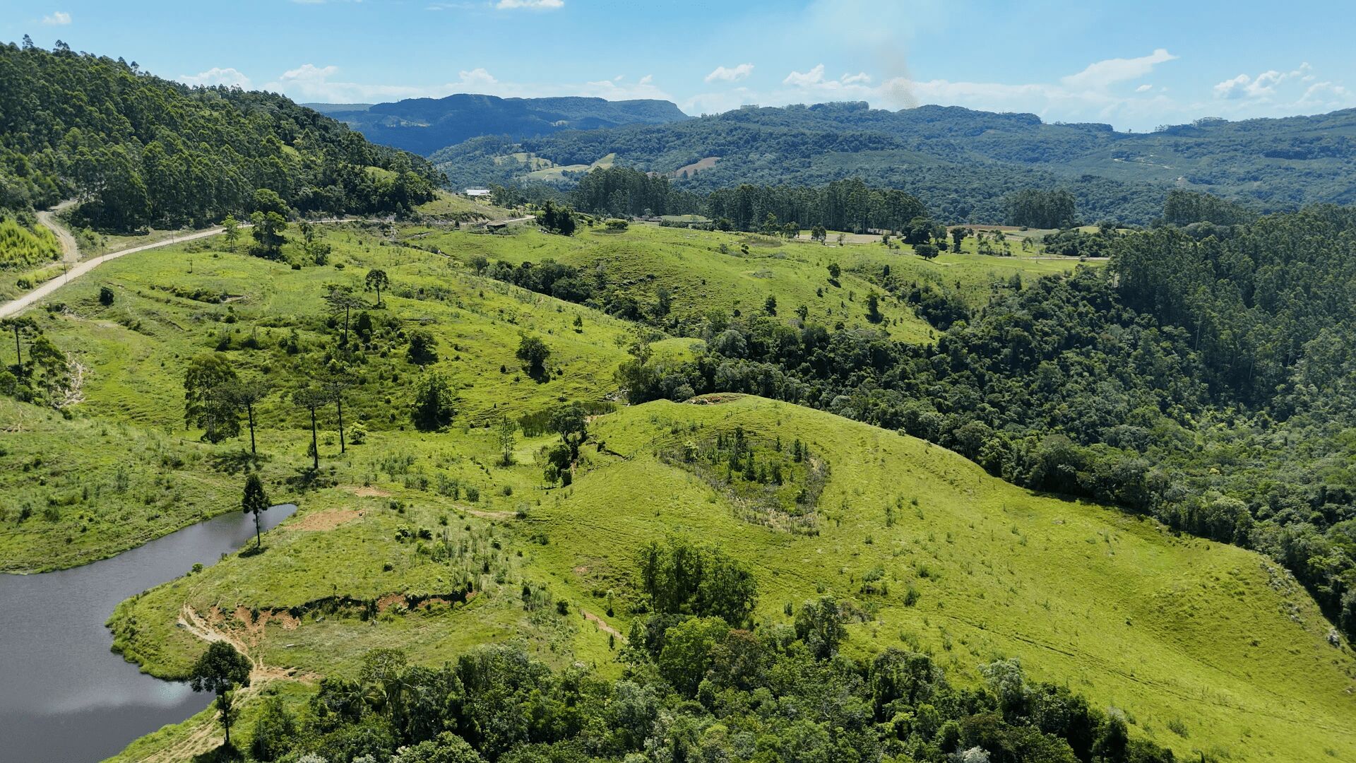 Fazenda, 103 hectares - Foto 4