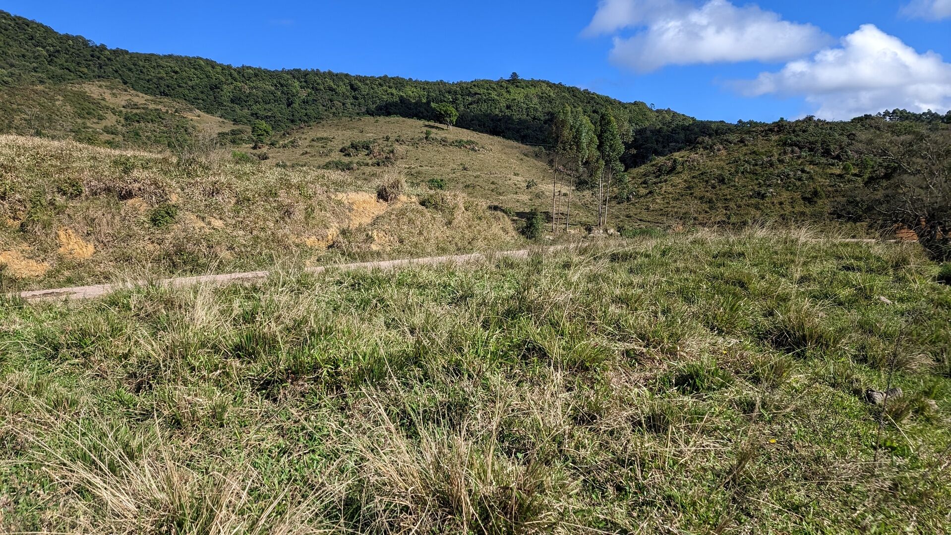Fazenda à venda, 910000m² - Foto 6
