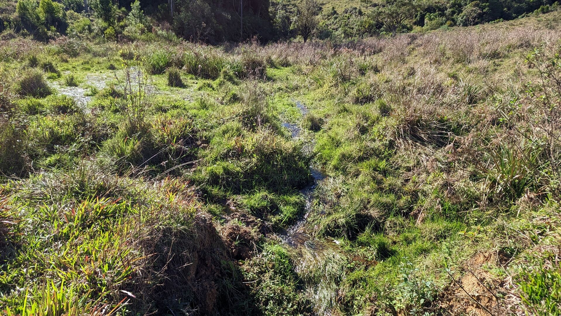 Fazenda à venda, 910000m² - Foto 19