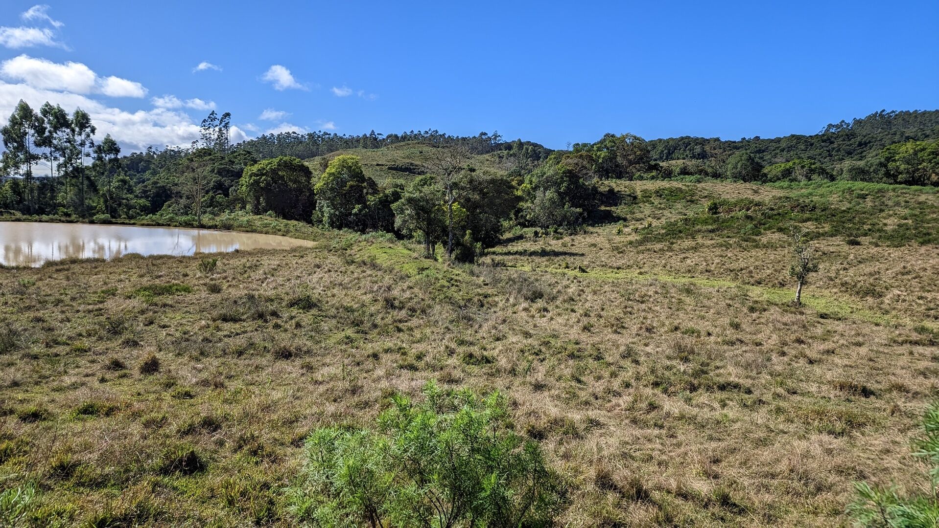 Fazenda à venda, 910000m² - Foto 14
