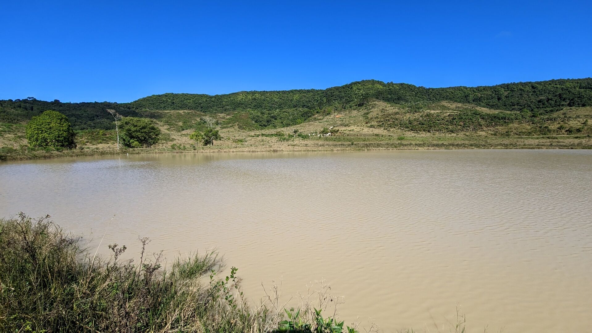 Fazenda à venda, 910000m² - Foto 11