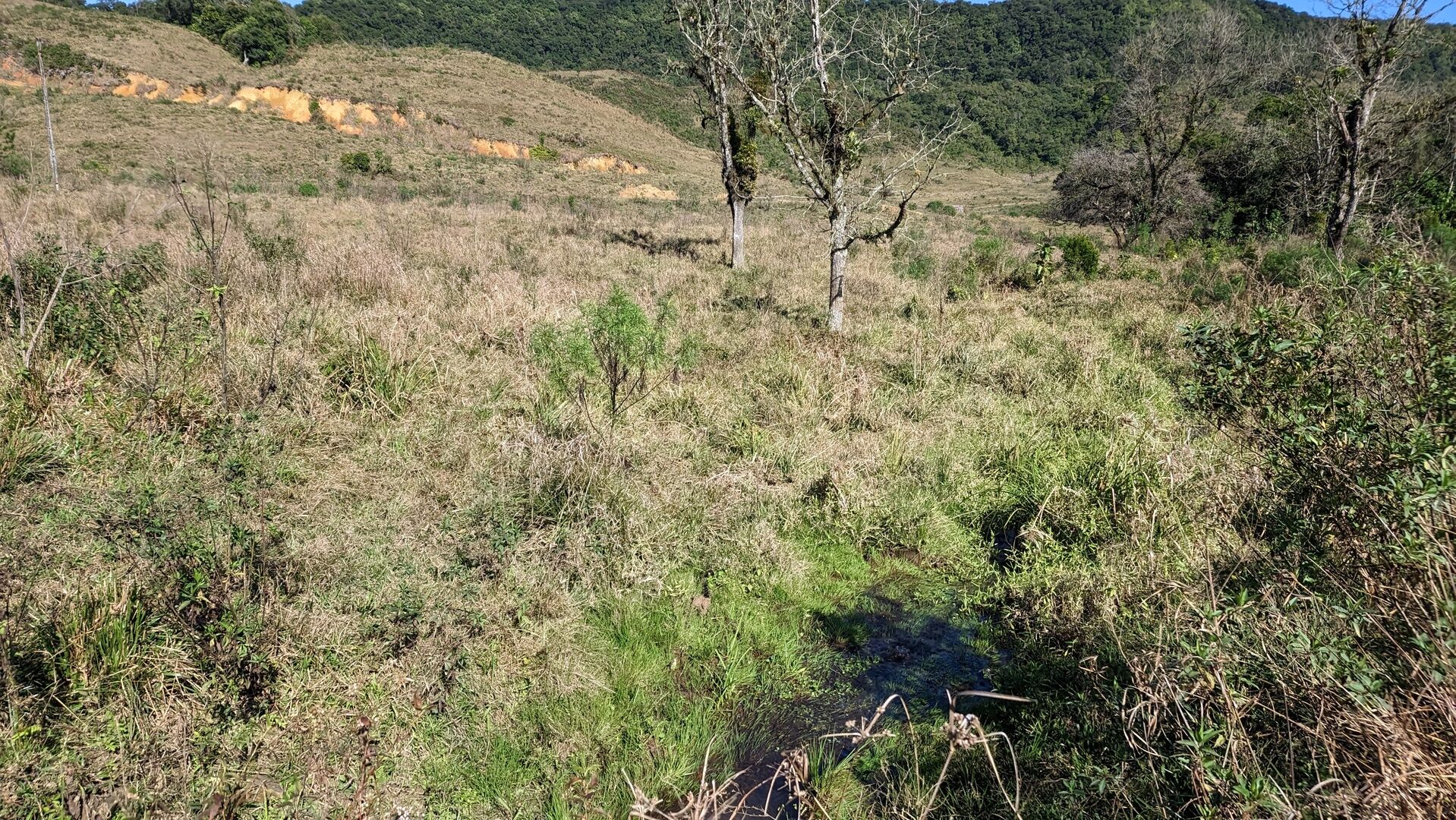 Fazenda à venda, 910000m² - Foto 18