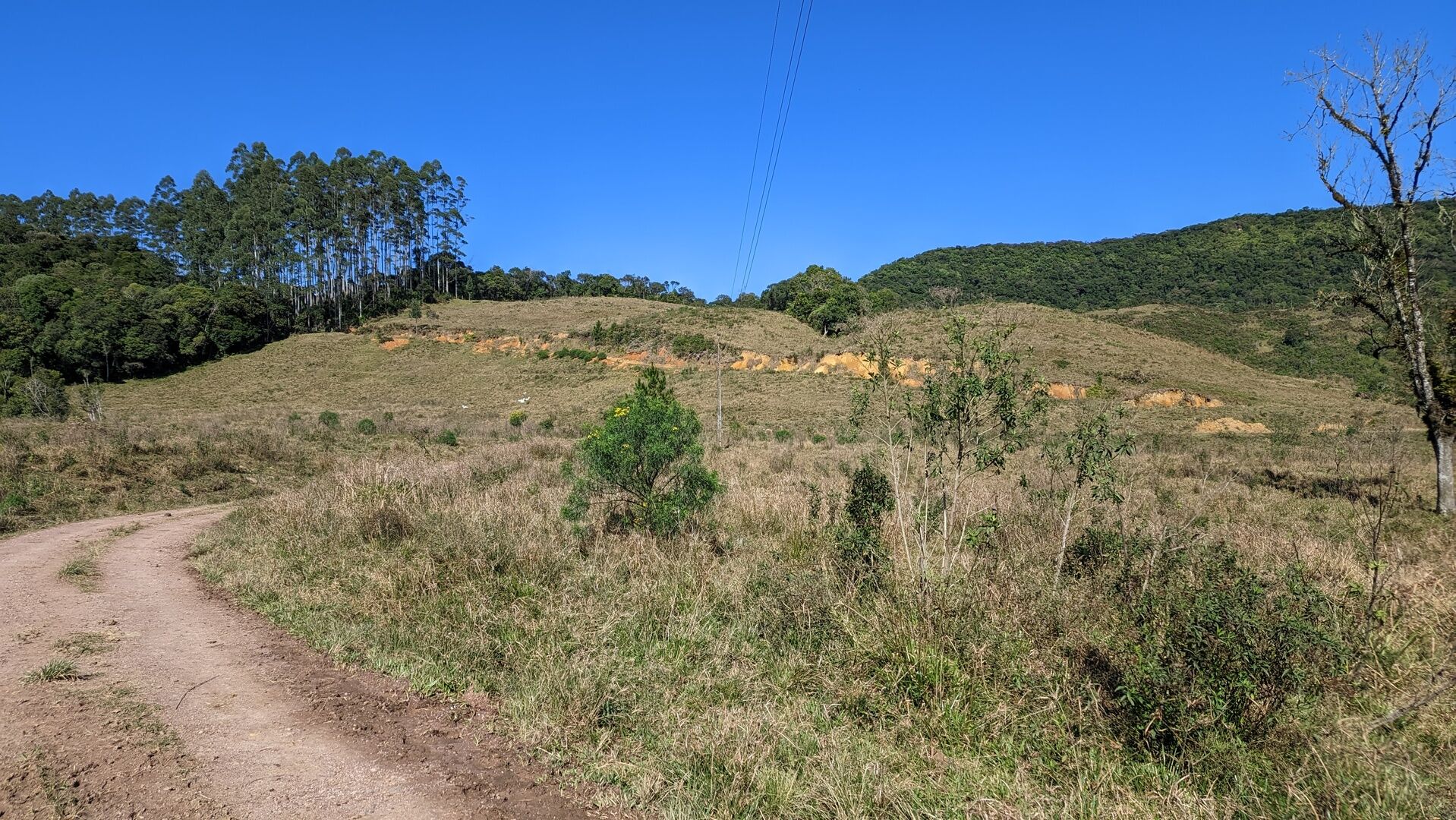 Fazenda à venda, 910000m² - Foto 21