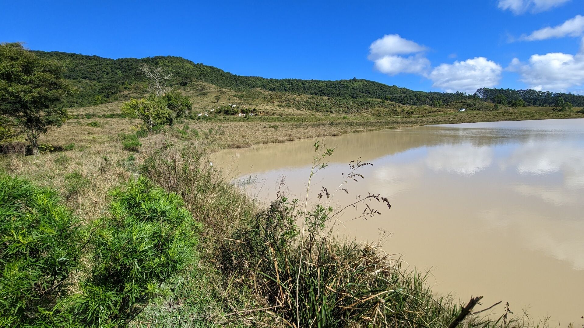 Fazenda à venda, 910000m² - Foto 12