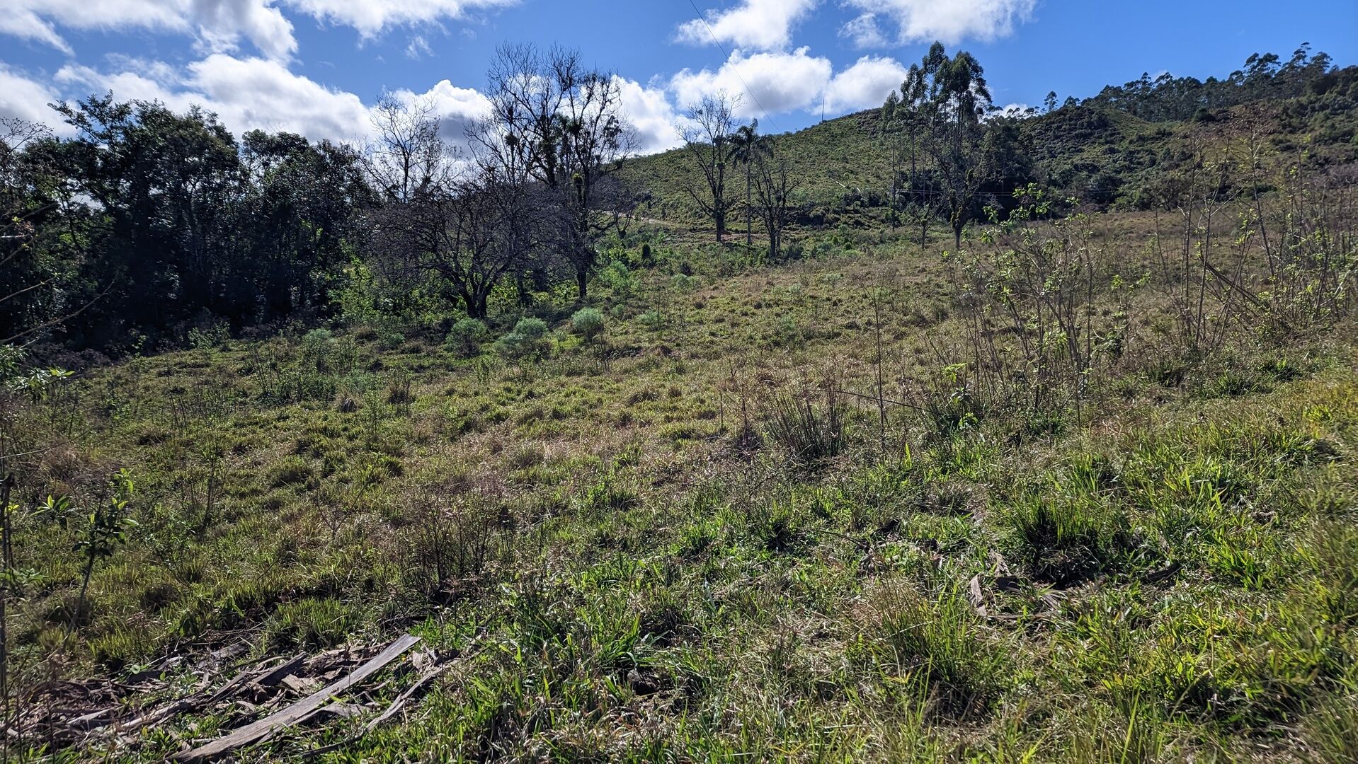 Fazenda à venda, 910000m² - Foto 16