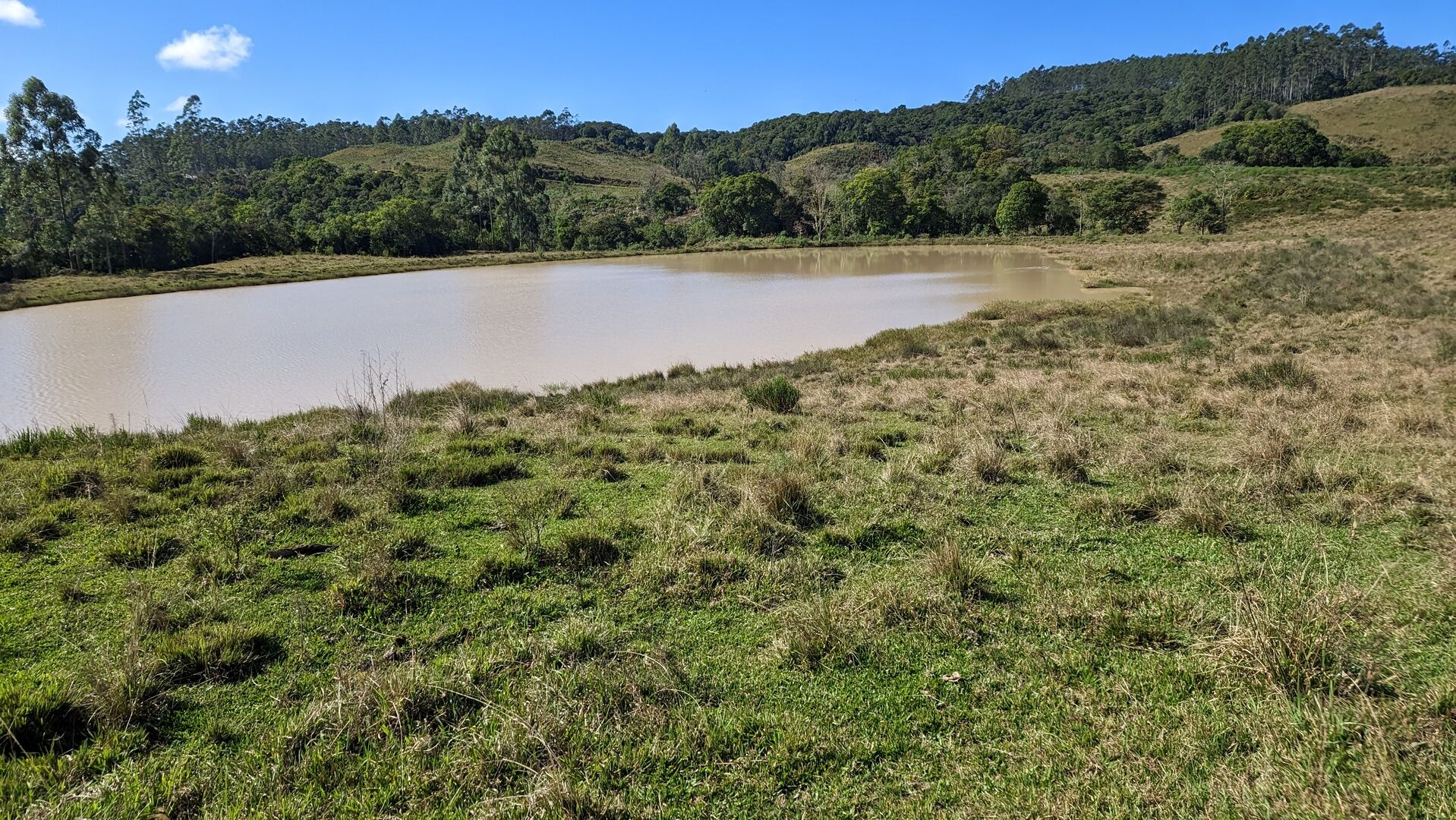 Fazenda à venda, 910000m² - Foto 5