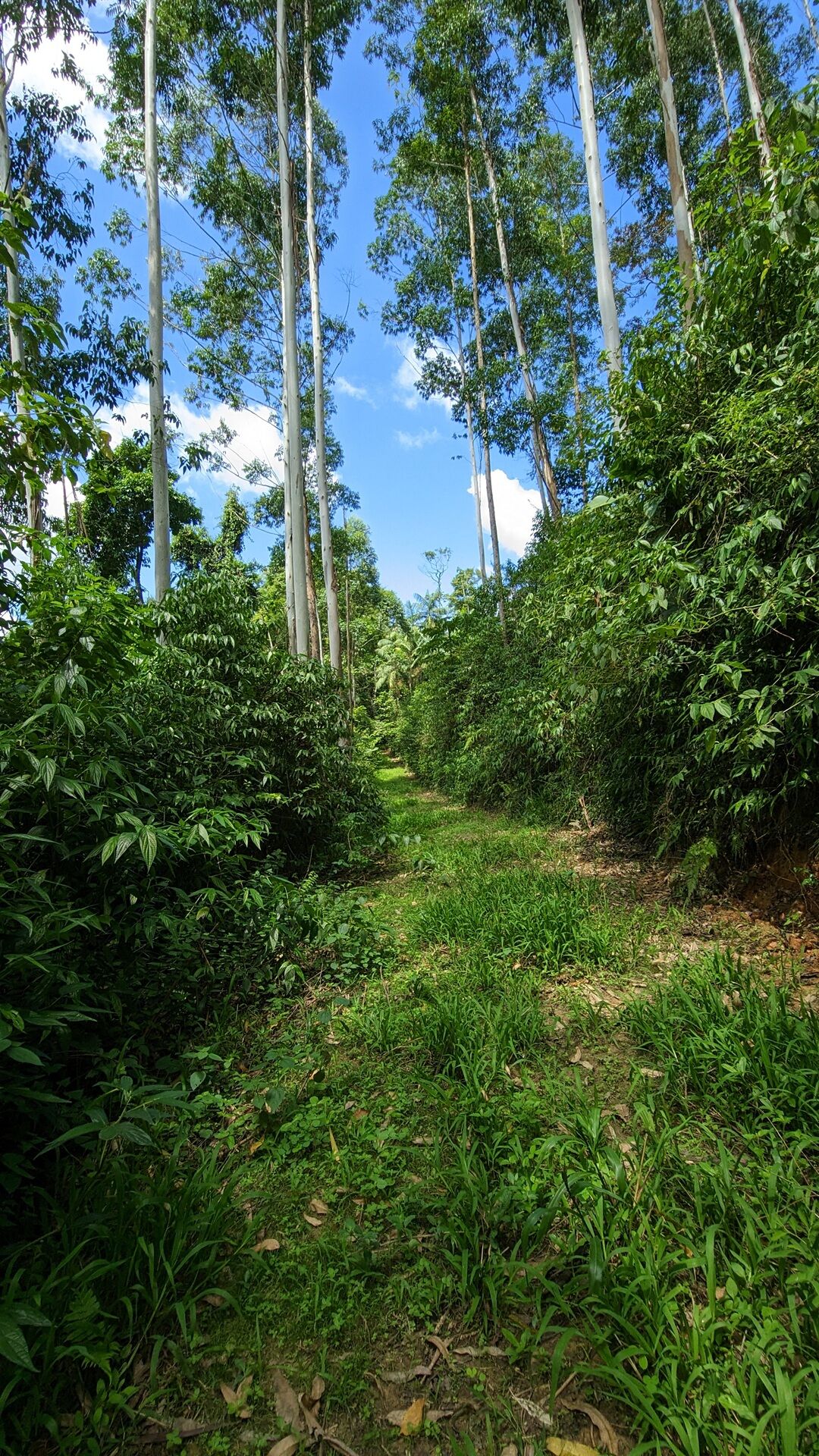 Terreno à venda, 40000m² - Foto 13