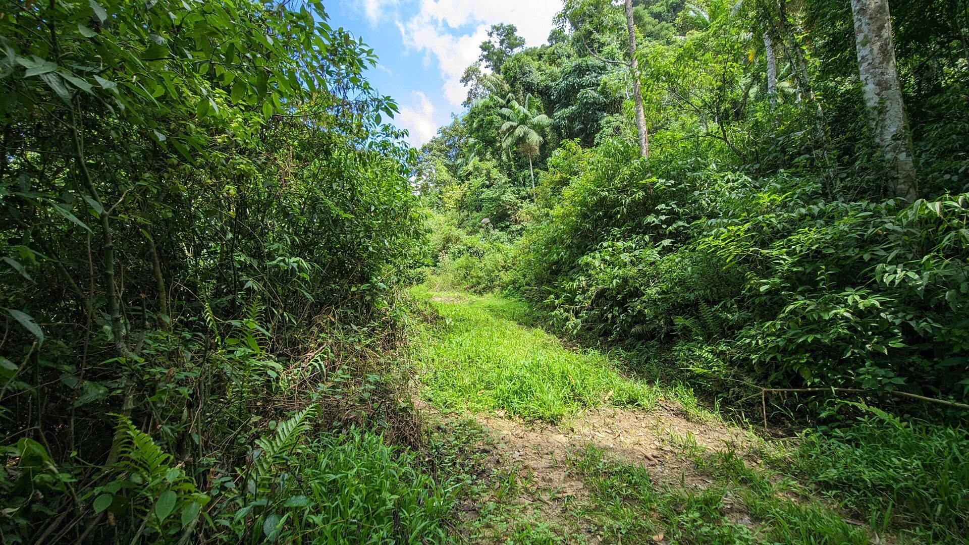 Terreno à venda, 40000m² - Foto 5