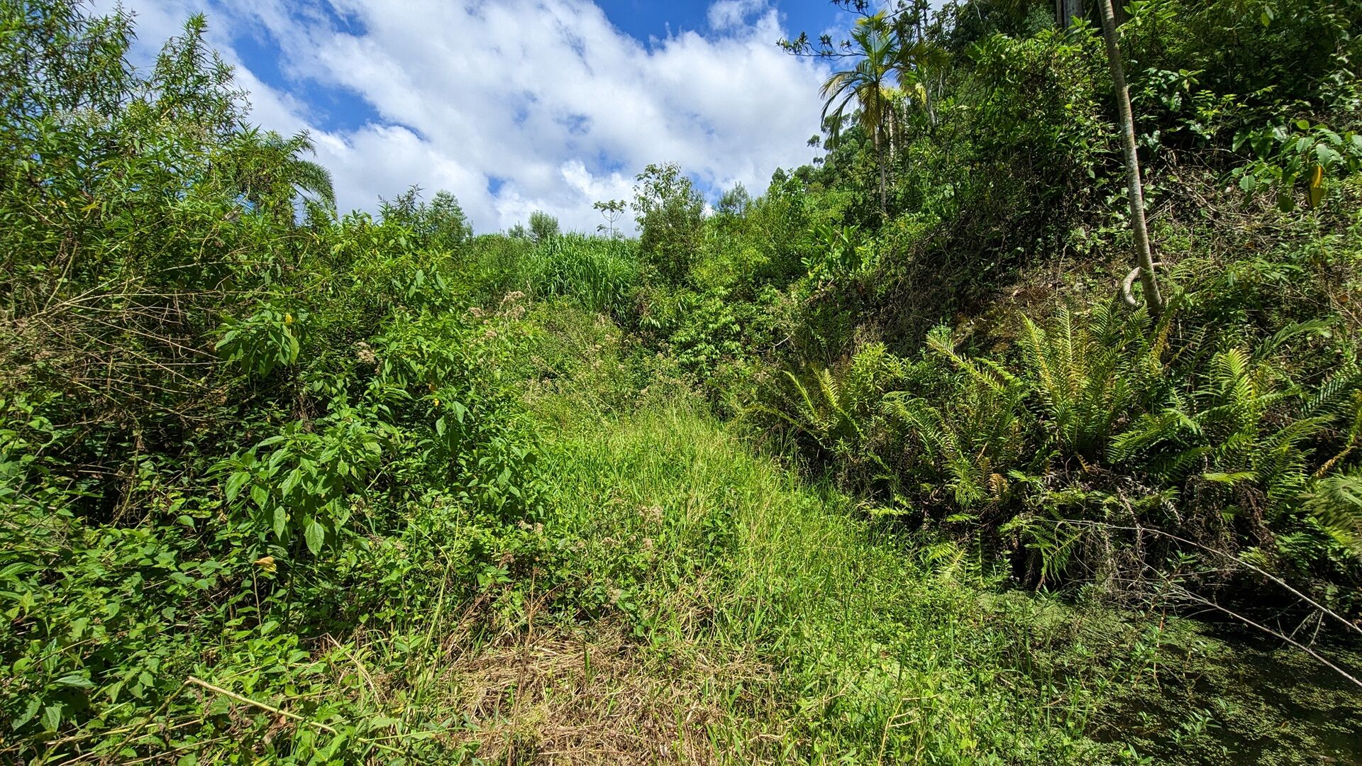 Terreno à venda, 40000m² - Foto 9