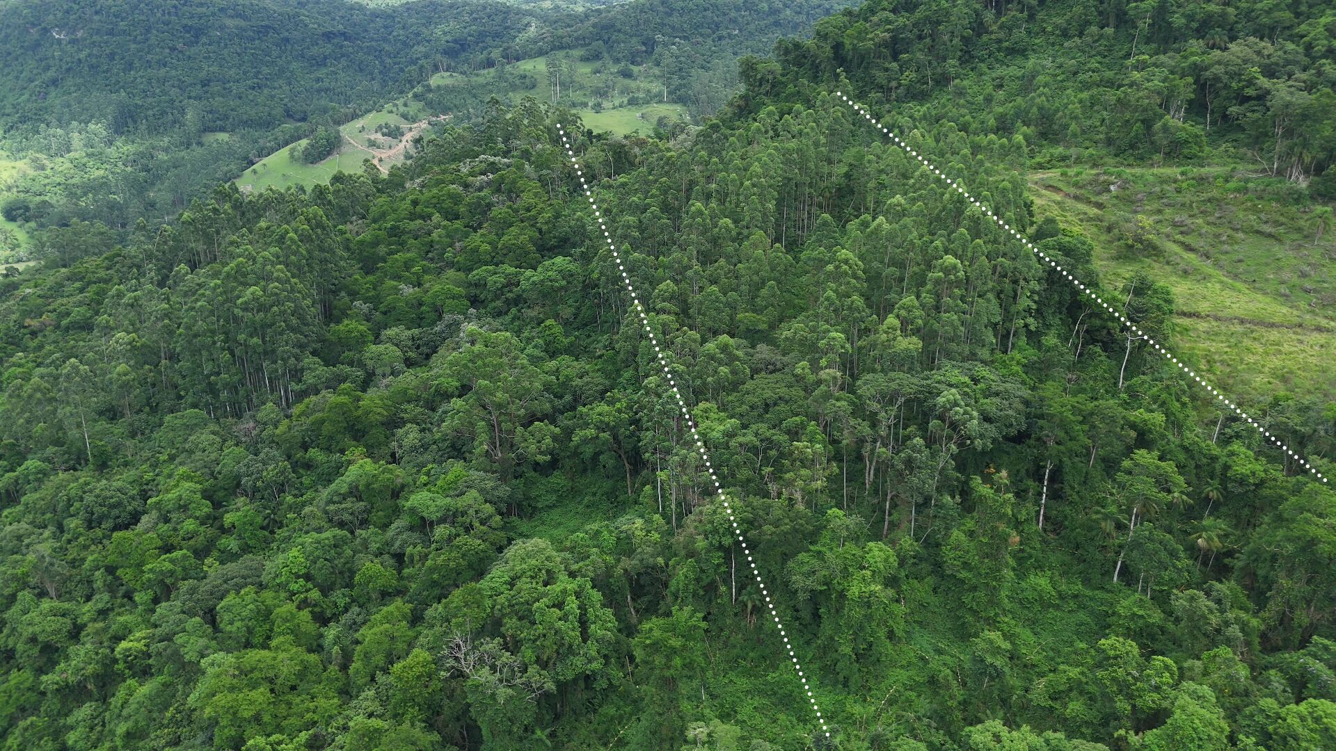 Terreno à venda, 40000m² - Foto 6