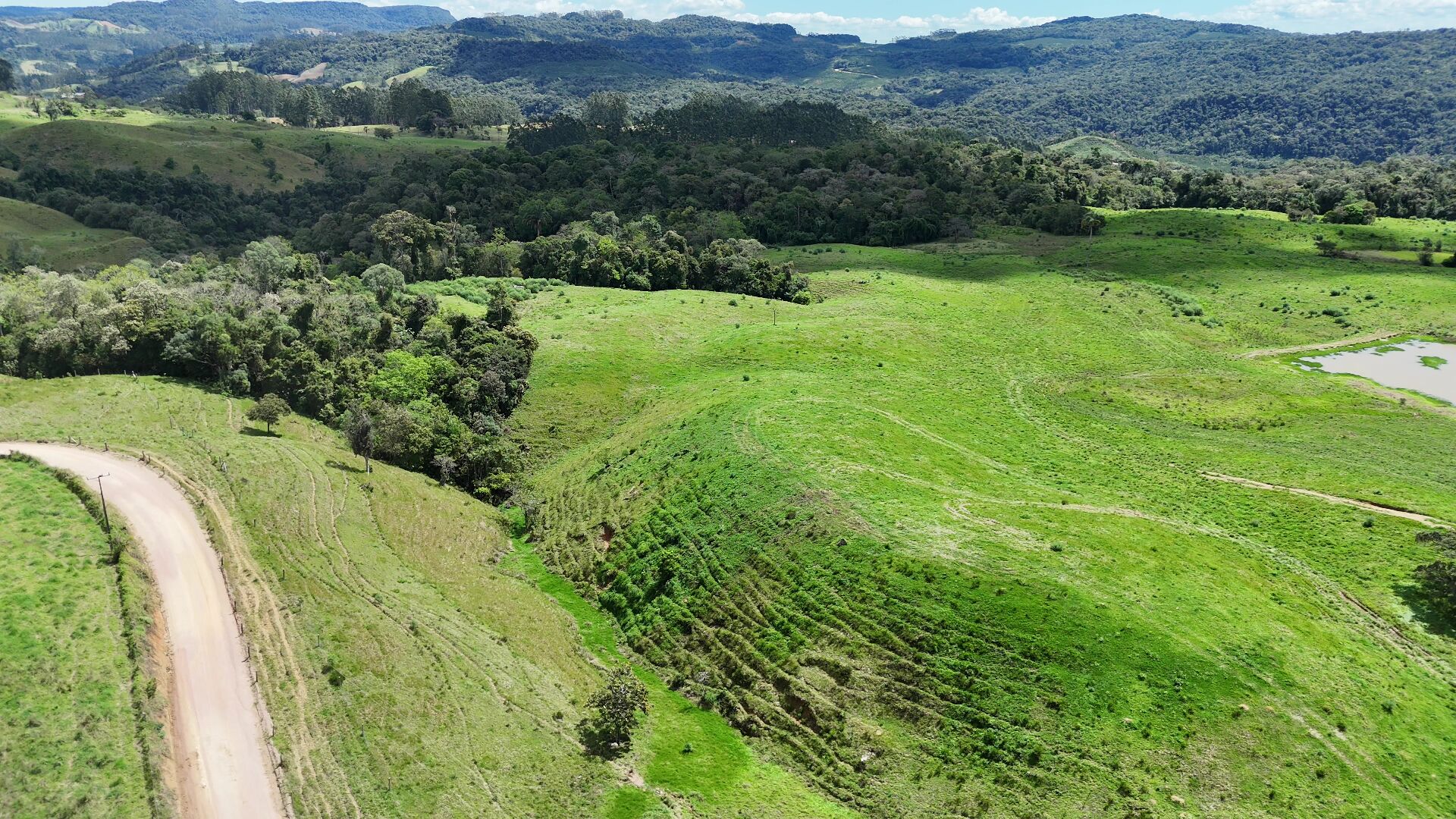 Terreno, 29 hectares - Foto 4