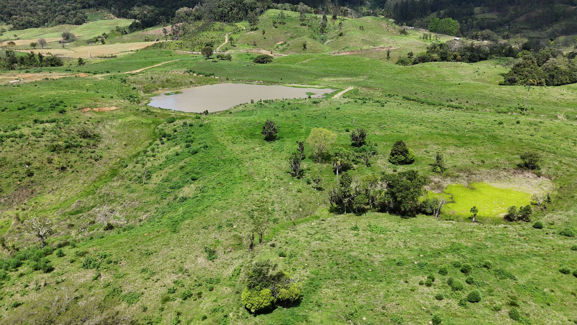Terreno, 29 hectares - Foto 3
