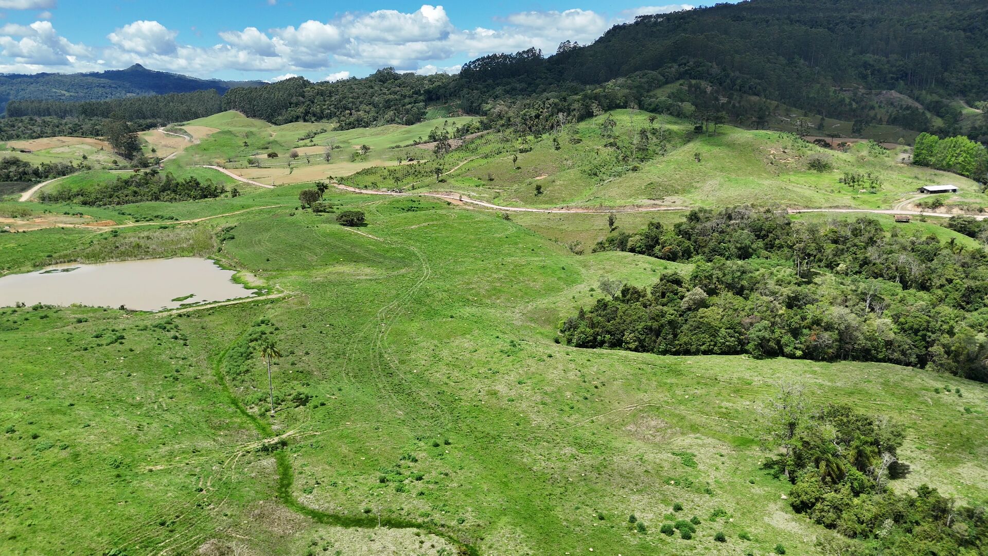 Terreno, 29 hectares - Foto 2