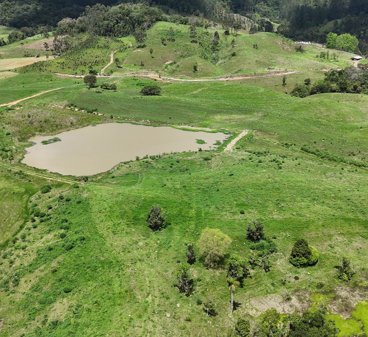 Terreno, 29 hectares - Foto 1