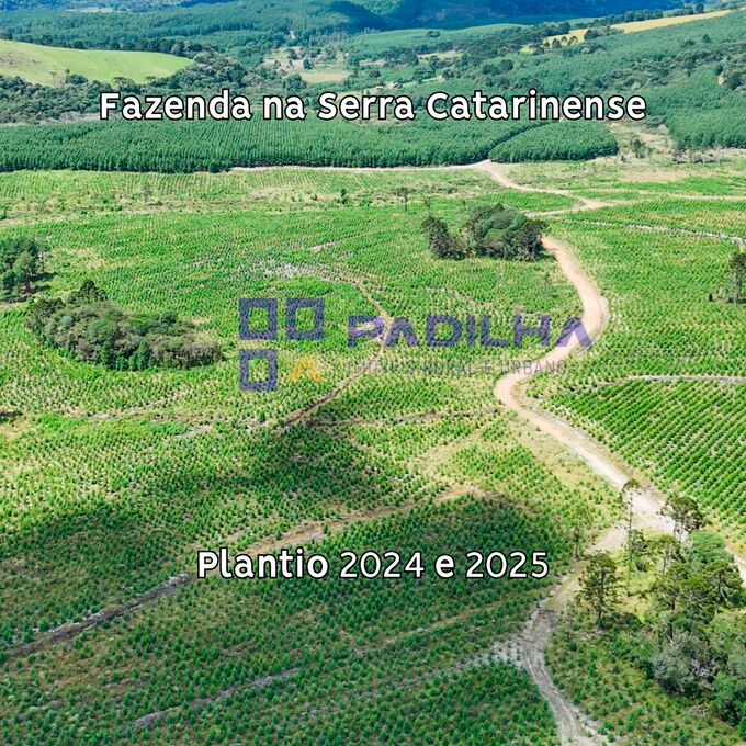 Fazenda, 237 hectares - Foto 9